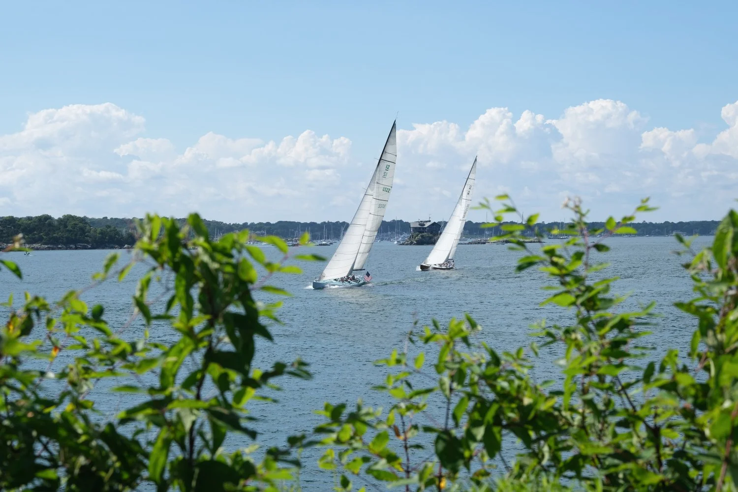 Two sailboats on a calm body of water with green foliage in the foreground and a shoreline with boats and buildings in the background, under a partly cloudy sky.