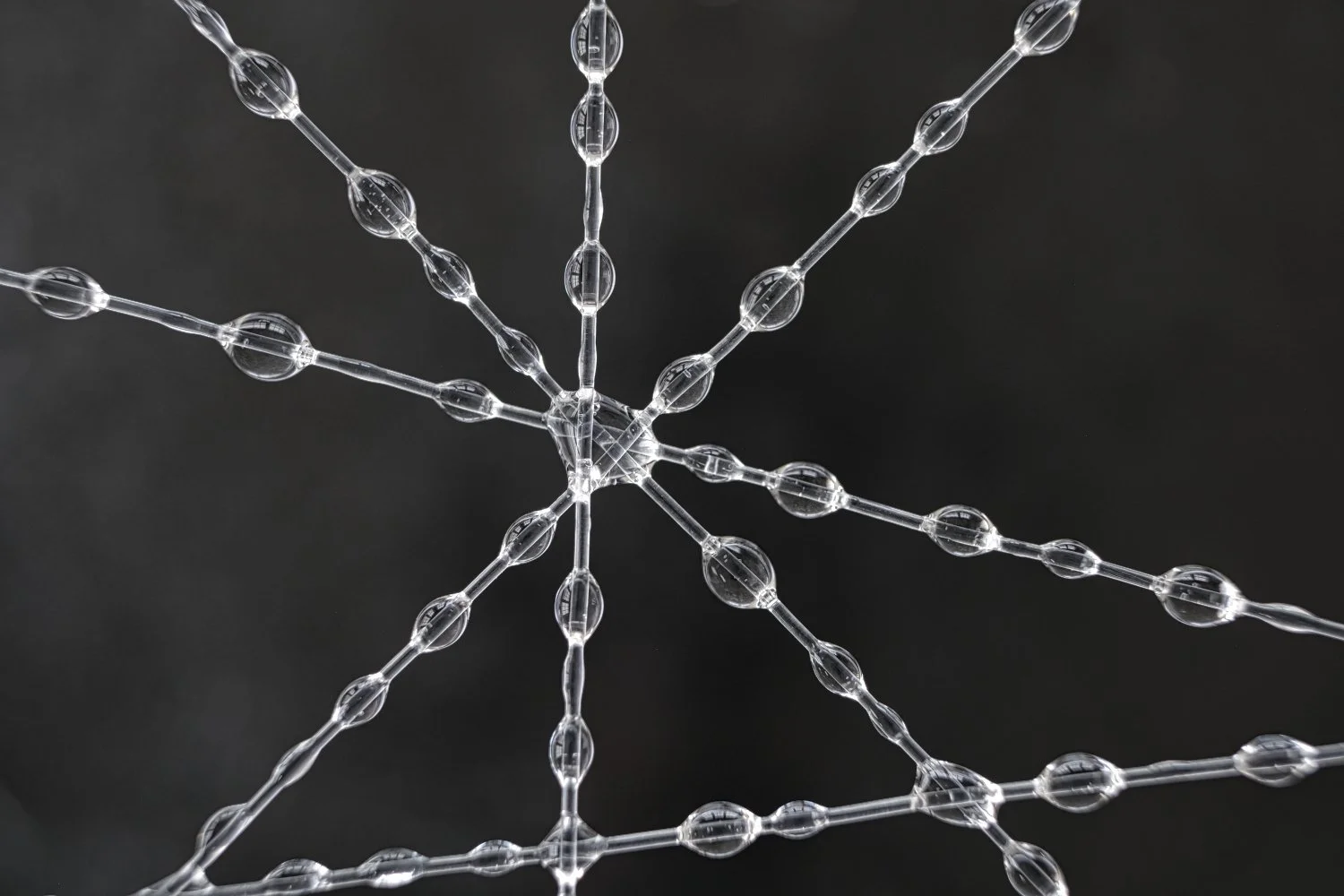 Close-up of a clear, intricate molecular structure or network with multiple elongated, oval-shaped nodes connected by thin lines, set against a dark background.