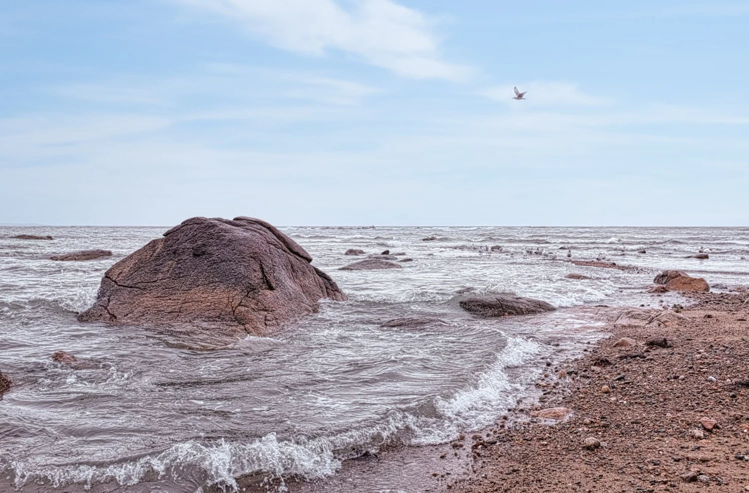 A rocky shoreline with a large rock in the foreground, gentle waves, and a seagull flying in a partly cloudy sky.