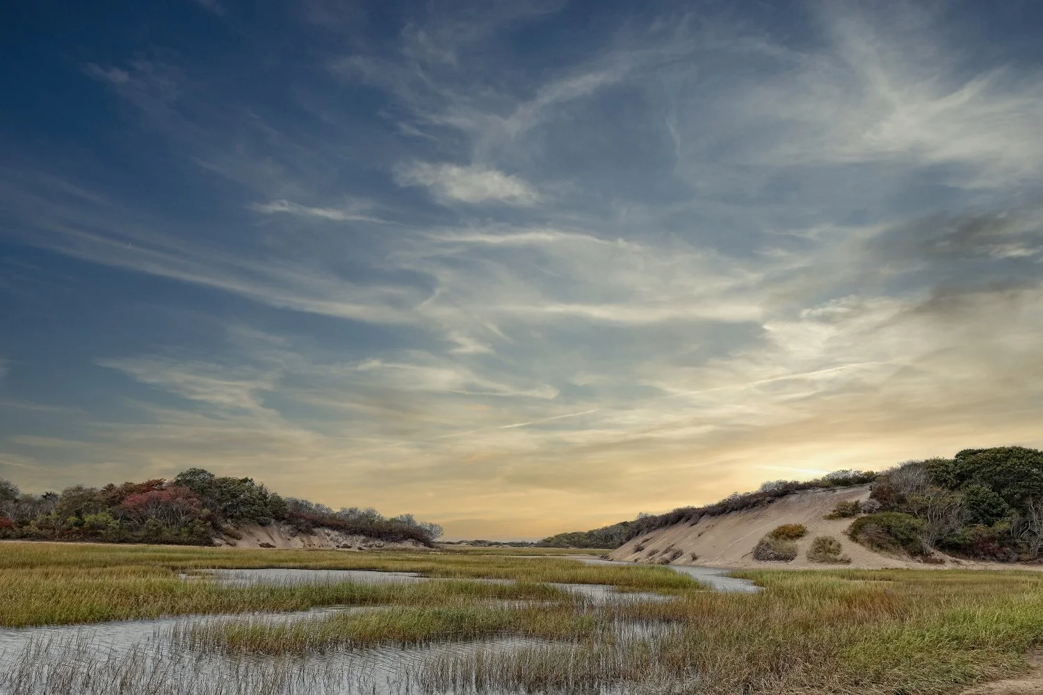 A marshland landscape at sunset with grassy fields, small water streams, and sandy hills covered with trees and bushes under a cloudy sky.