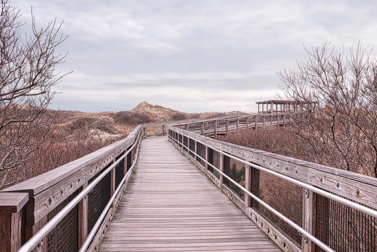 Wooden walkway with railings winding through leafless trees and dry grass-covered hills under a cloudy sky