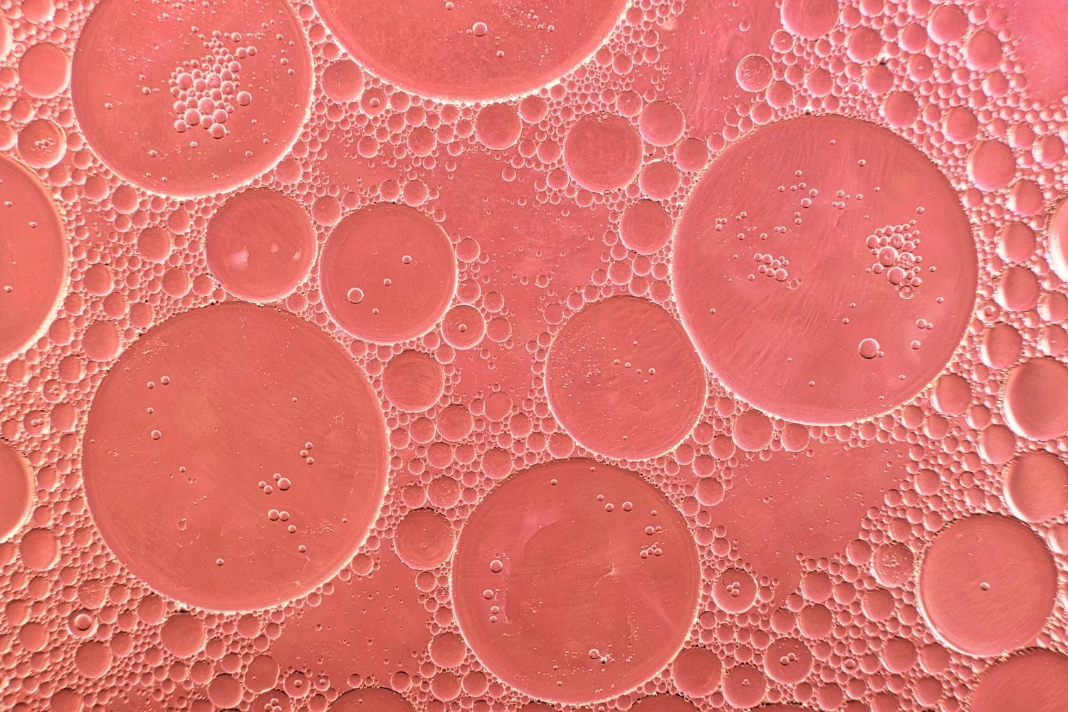 Close-up image of oil droplets in water, forming various-sized bubbles with a pinkish hue.
