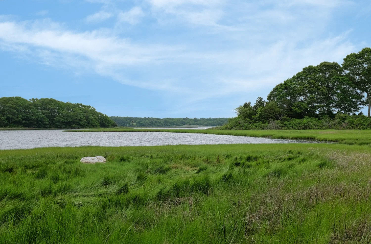 A serene marshland landscape with green grass and tall trees beside a body of water under a partly cloudy sky.