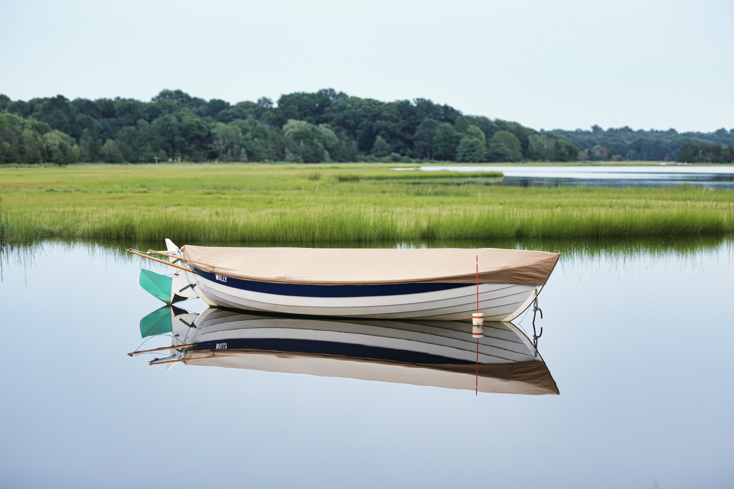A boat floating on calm water with lush green trees and marsh grass in the background.