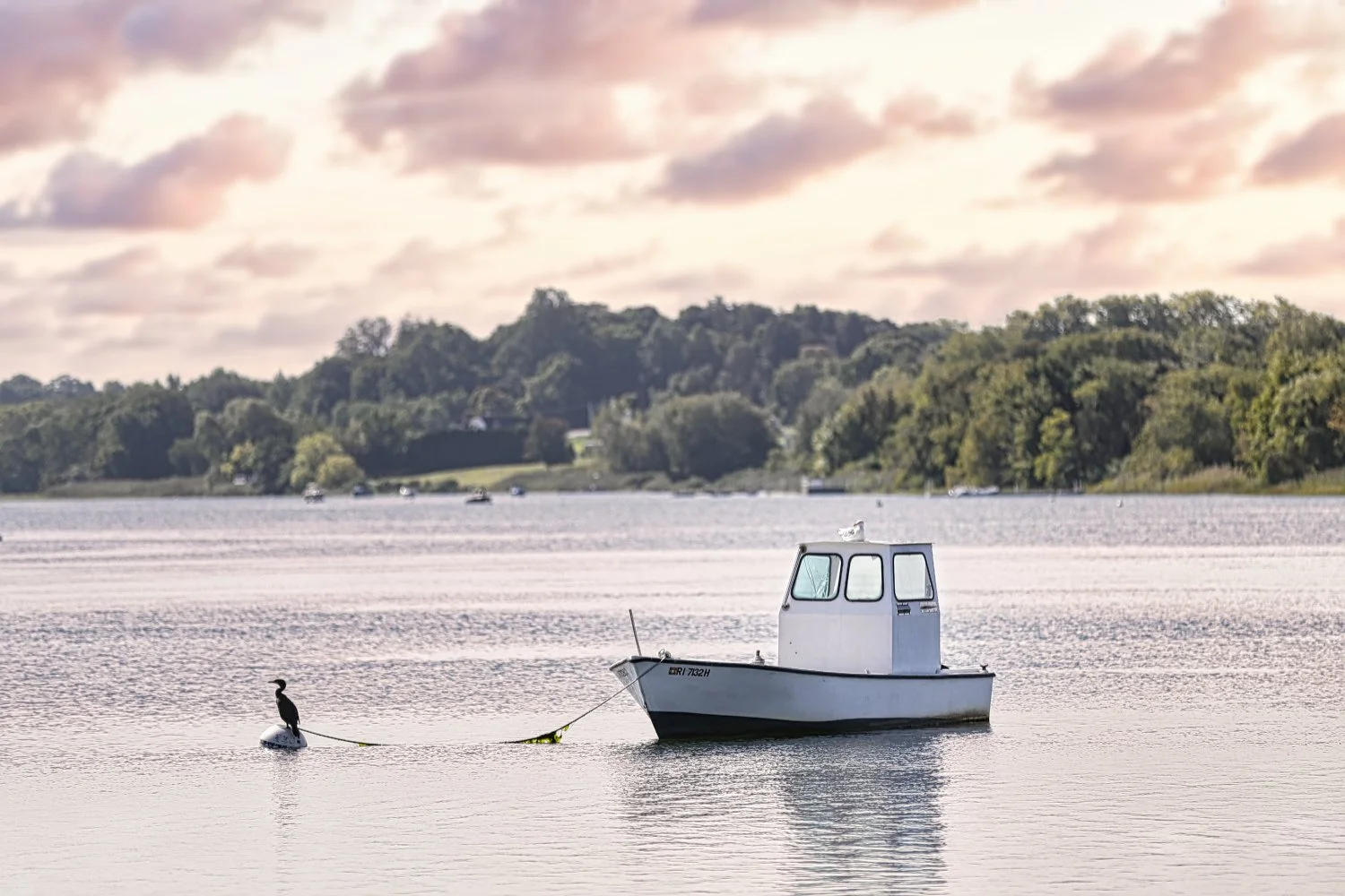 A small white boat floating on calm water with a bird perched on a buoy nearby; background features green trees and a cloudy sky.