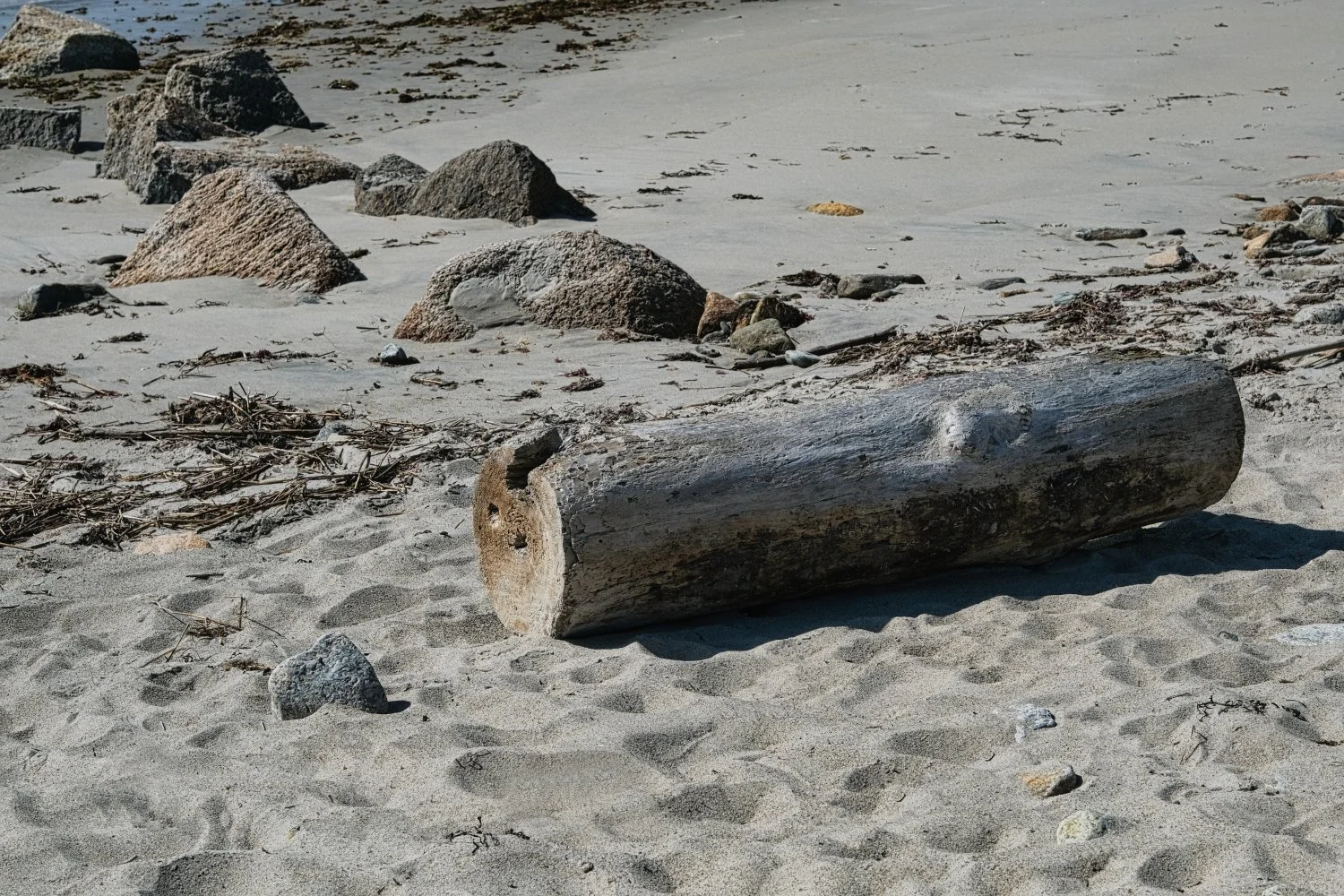 A sandy beach with scattered rocks and a large, weathered log lying on the sand.