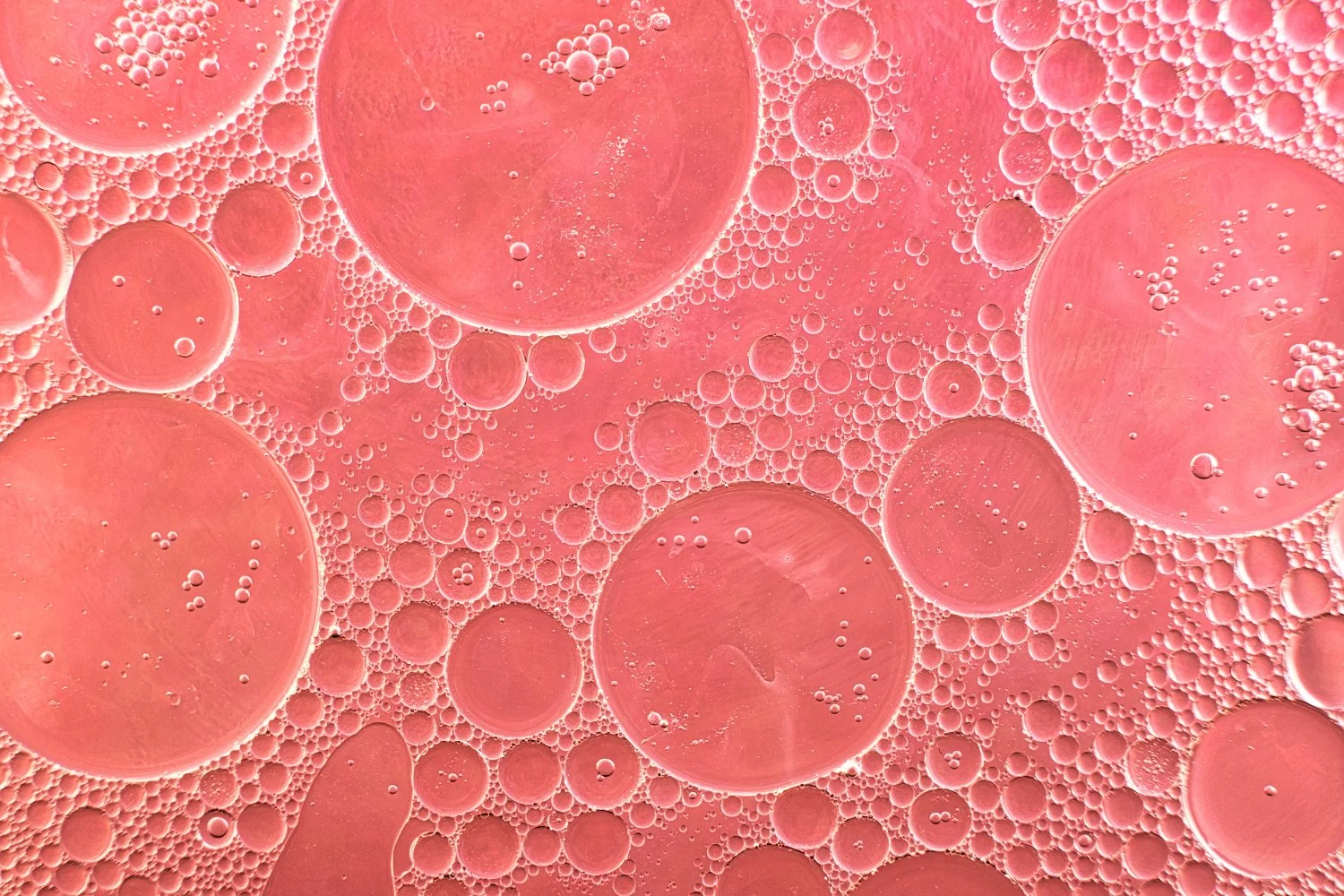 Close-up view of oil droplets in water, showing numerous pink and red circles of various sizes surrounded by smaller bubbles.