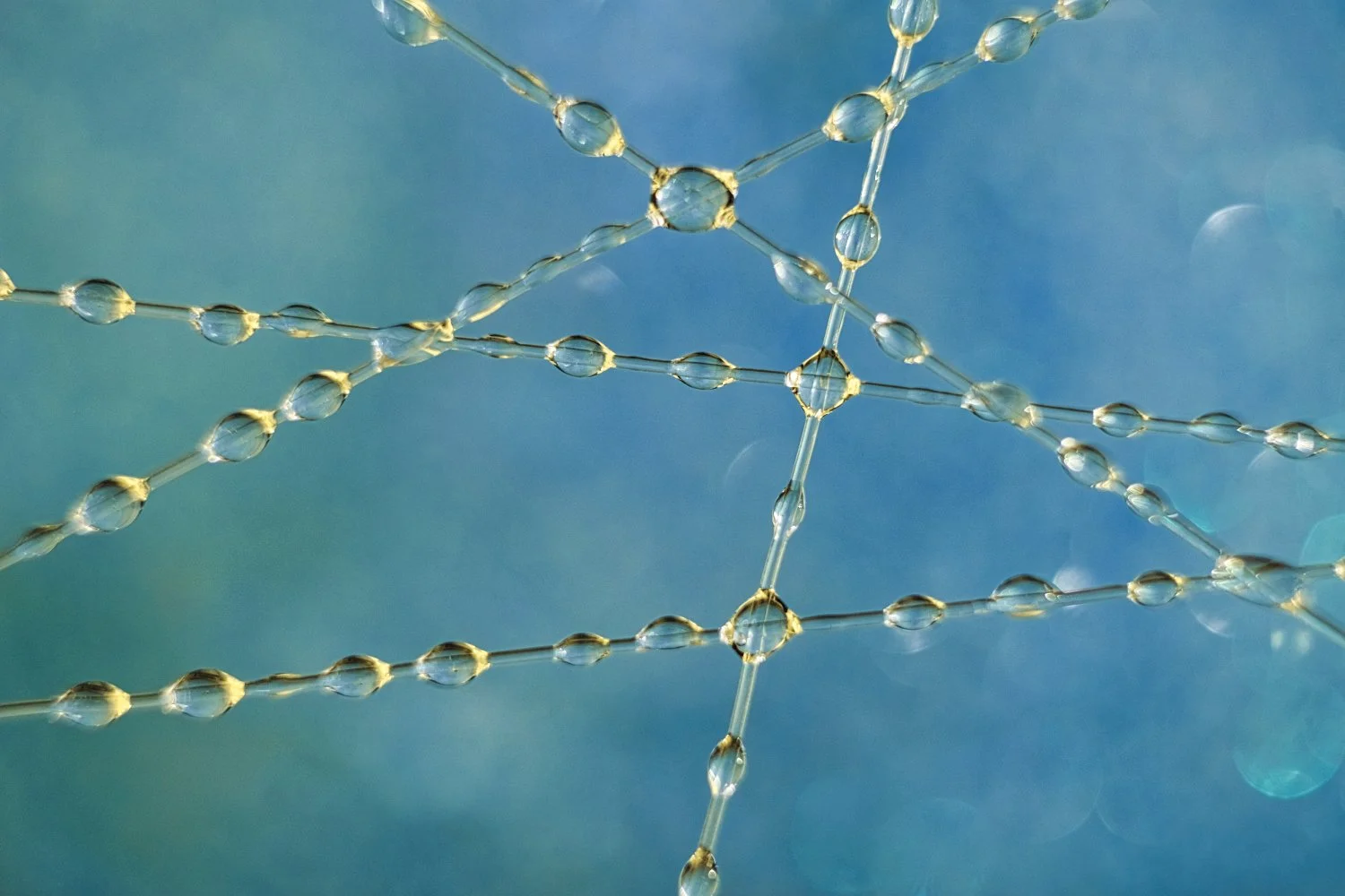 Close-up photograph of a spider web with water droplets on the silk threads against a blue sky background.