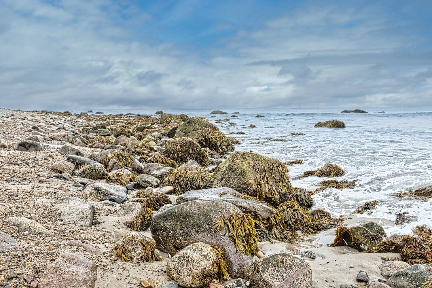 Rocky beach shoreline with seaweed-covered stones, ocean waves, and a cloudy sky.