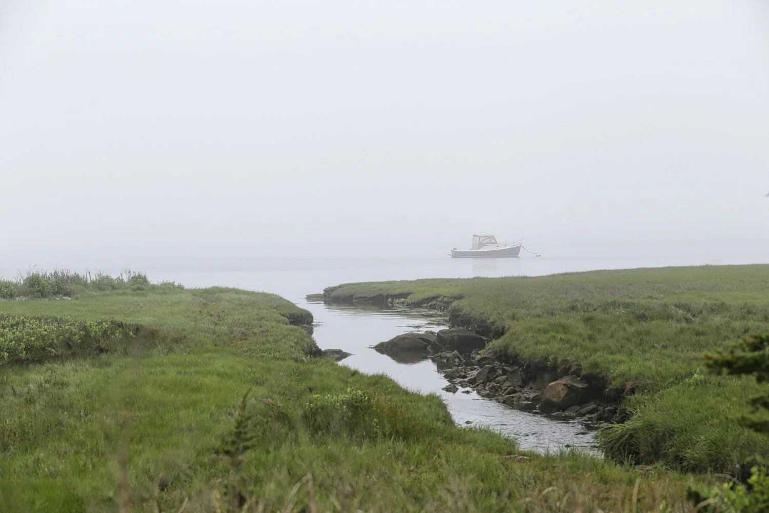 A foggy scene of a small boat anchored in calm water, with green marshy land and rocks in the foreground.