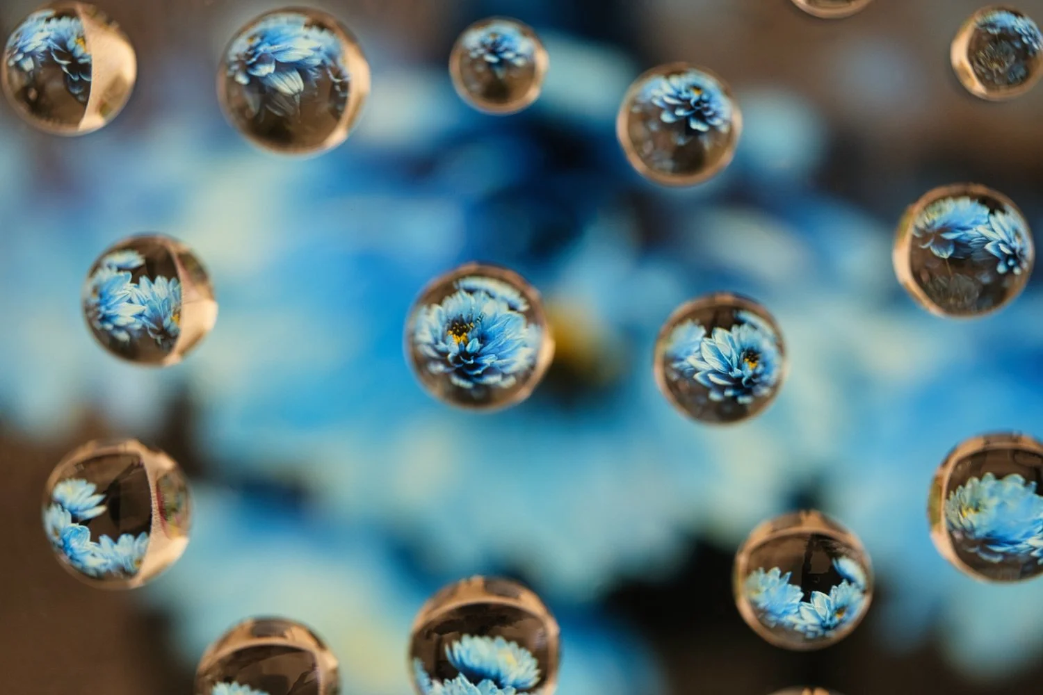 Close-up of a reflective surface with multiple lenses showing blue flowers, creating a pattern of reflections.