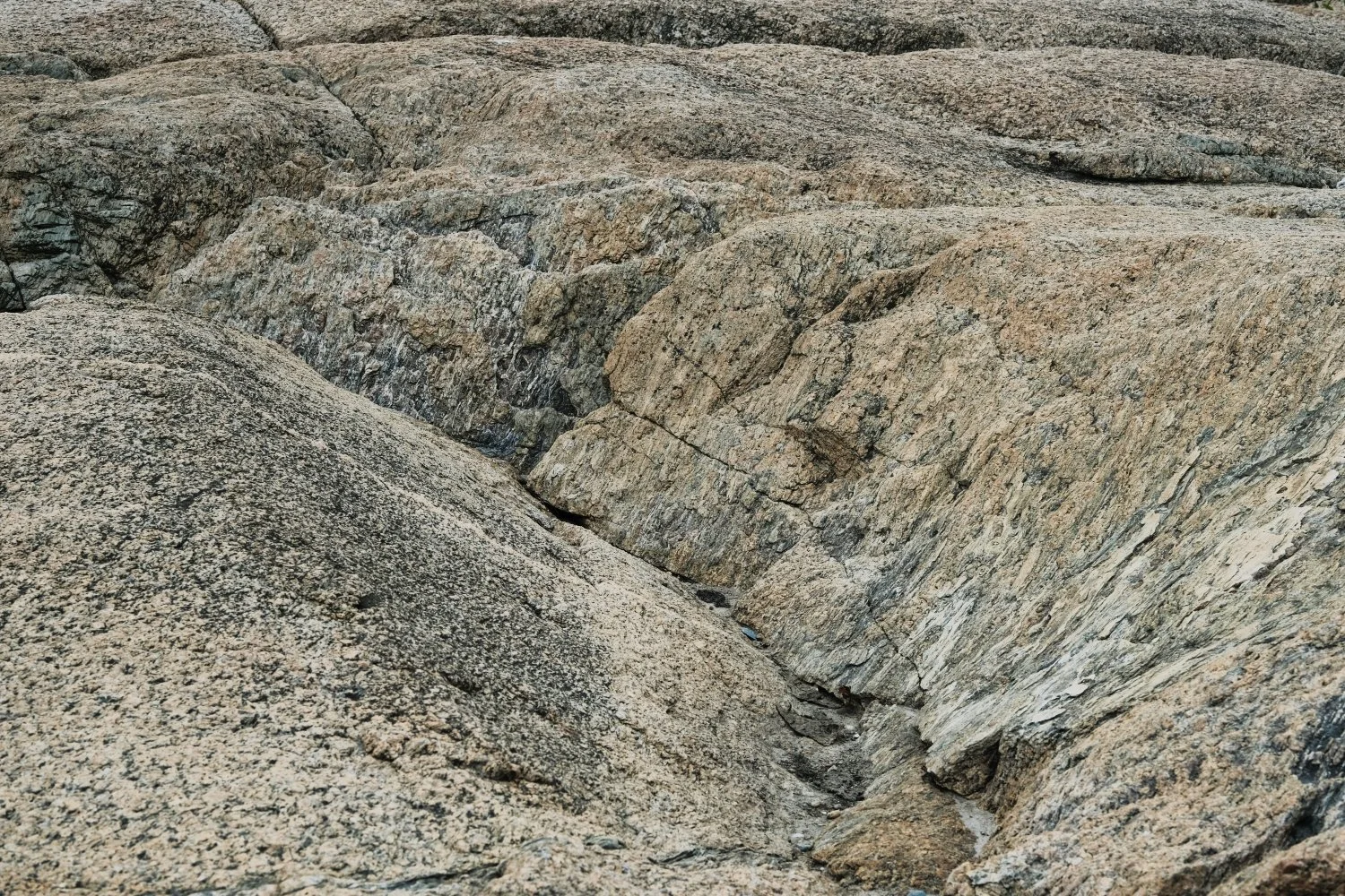 Close-up view of large, textured granite rocks with varied shades of gray and tan.