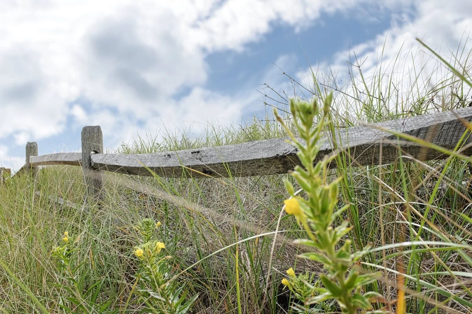 A wooden fence partially fallen over amidst tall grass and weeds on a grassy hill, with a partly cloudy sky in the background.
