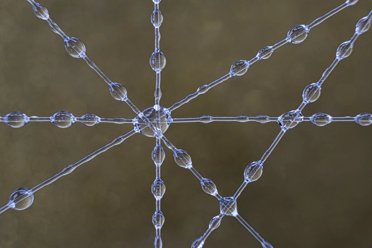 Close-up of a spider web covered with tiny water droplets, with a blurred background.