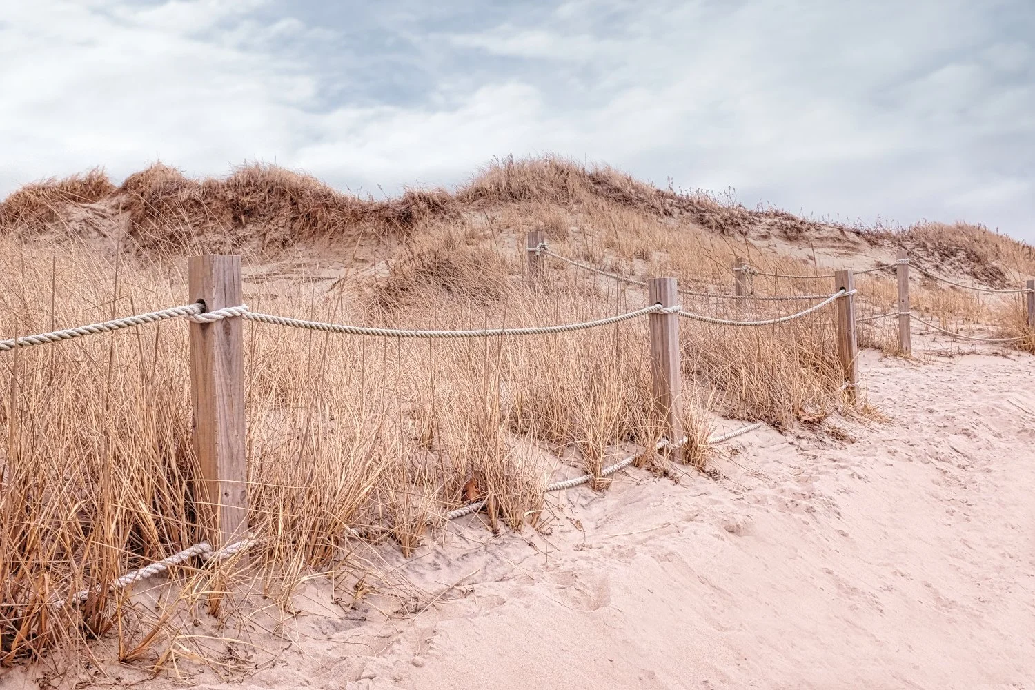 Sand dunes with dry grass and a wooden rope fence along a sandy pathway under a cloudy sky.