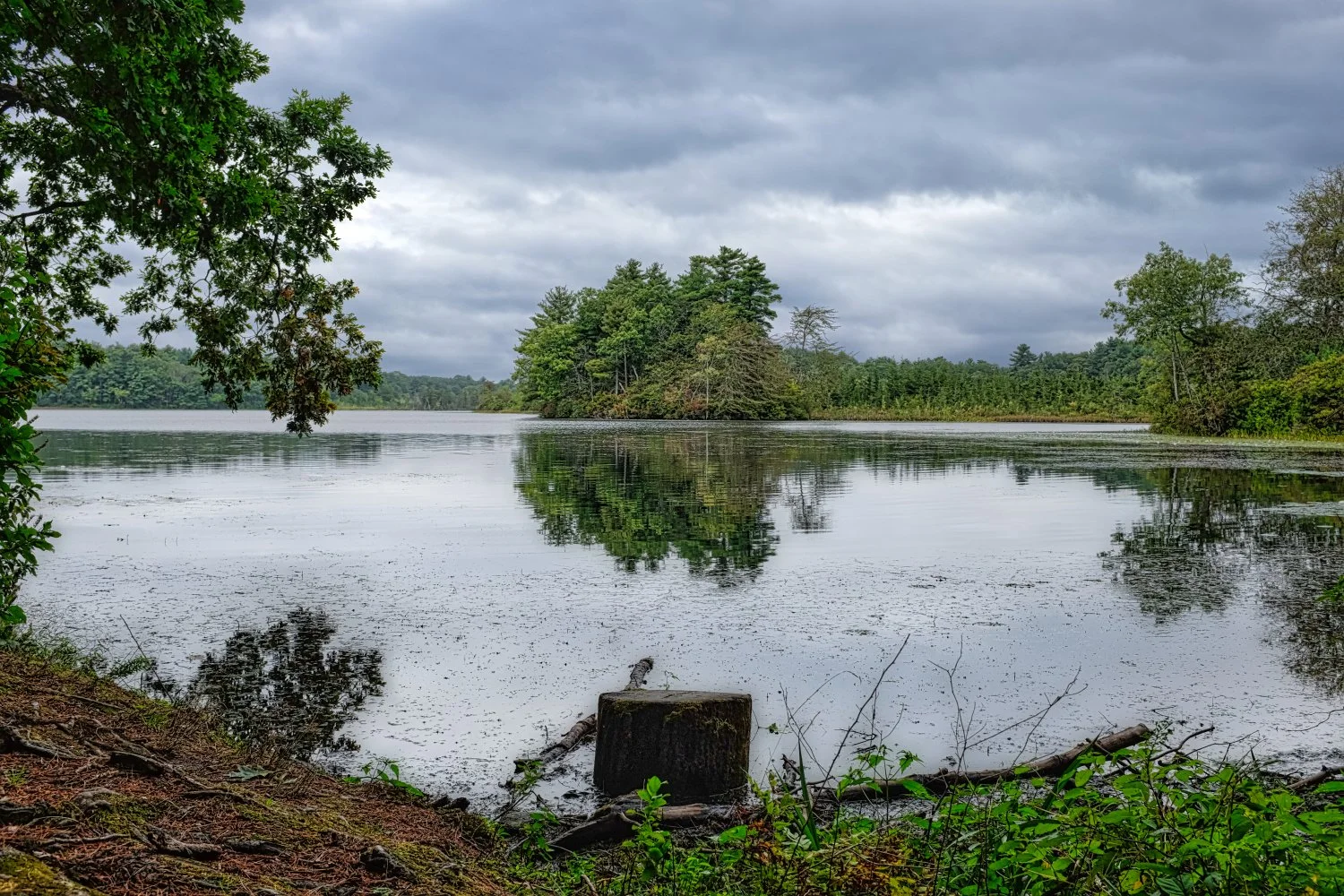 A calm lake with a reflection of green trees on the water, under a cloudy sky, with a tree branch and a small block in the foreground.