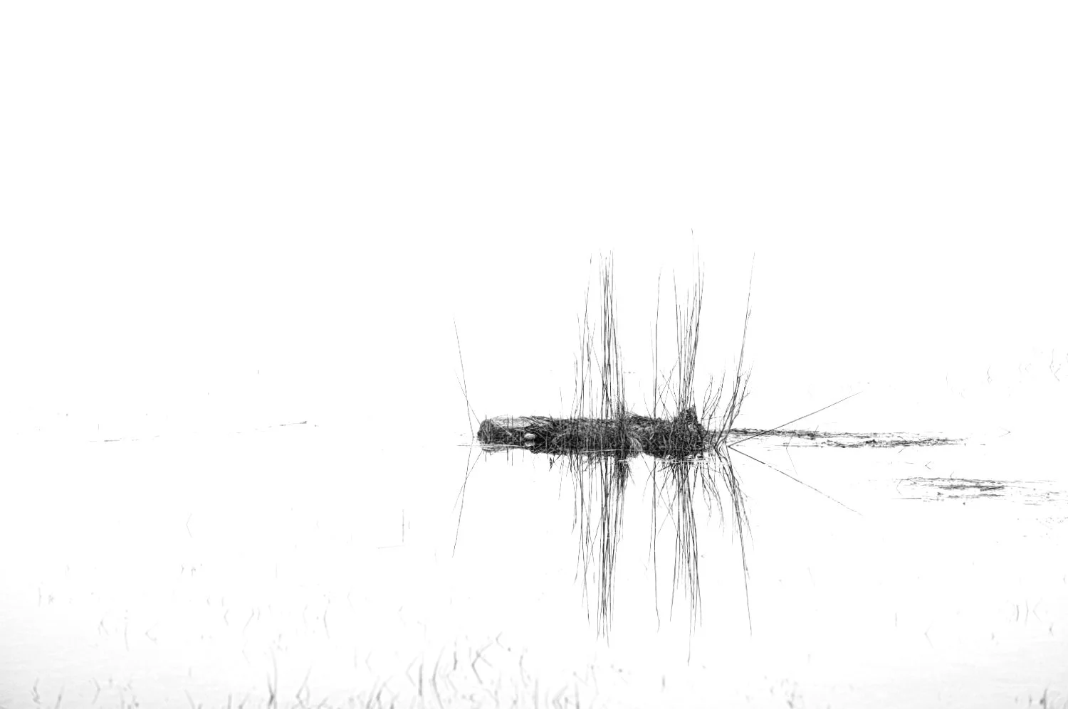 Minimalist black and white photo of a small, partially submerged watercraft, possibly a canoe or kayak, reflected on a calm body of water with tall grass or reeds in the foreground.