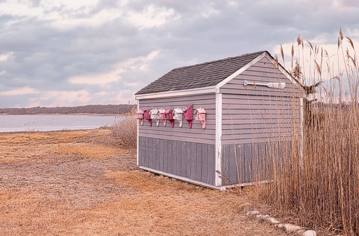 A row of pink and white miniature houses hanging on a gray shed beside a lake with reeds and a cloudy sky in the background.