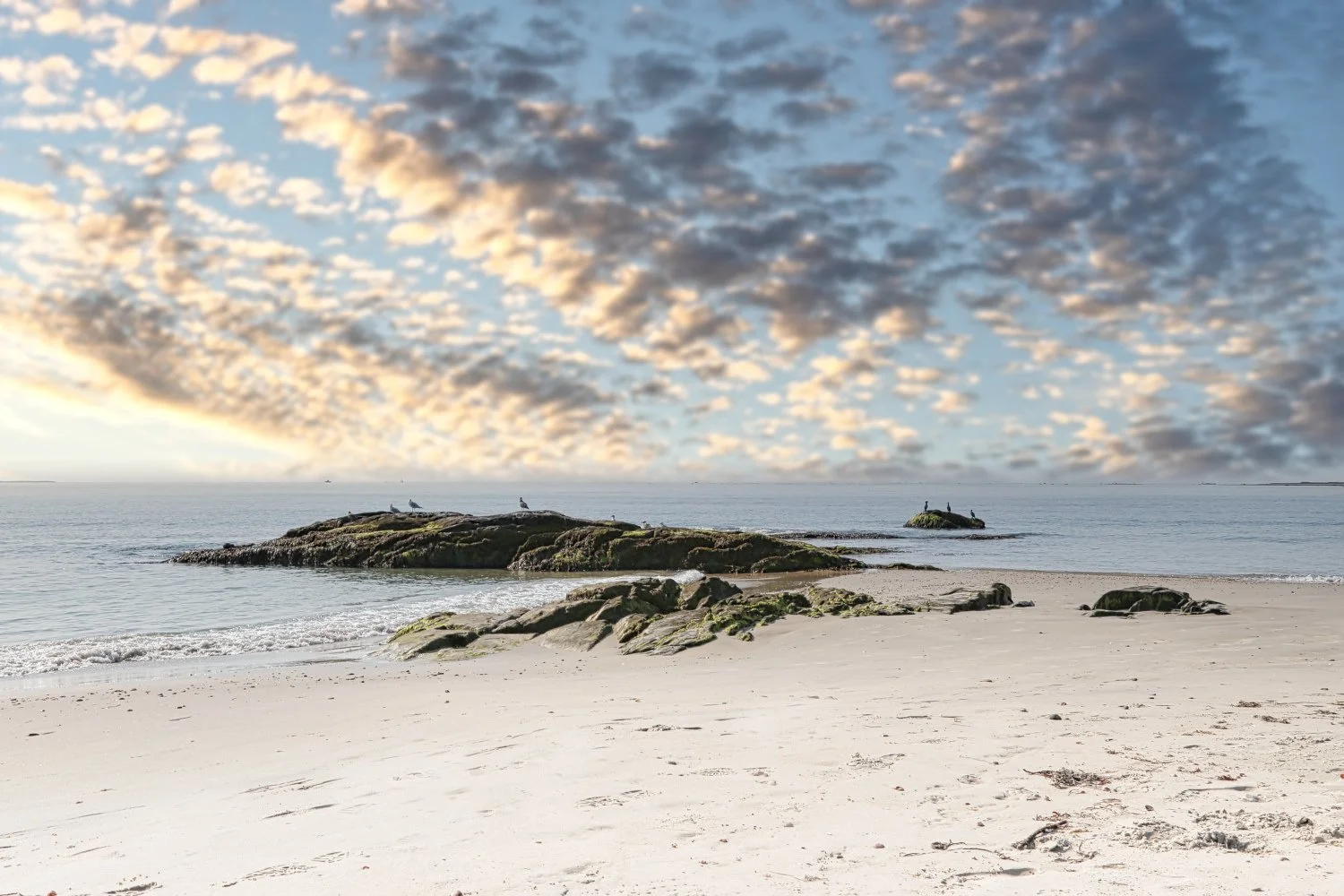 A serene beach with white sand, rocks covered in moss near the shoreline, and a calm ocean. Seagulls are sitting on the rocks, and the sky above is partly cloudy with a warm glow from the setting or rising sun.