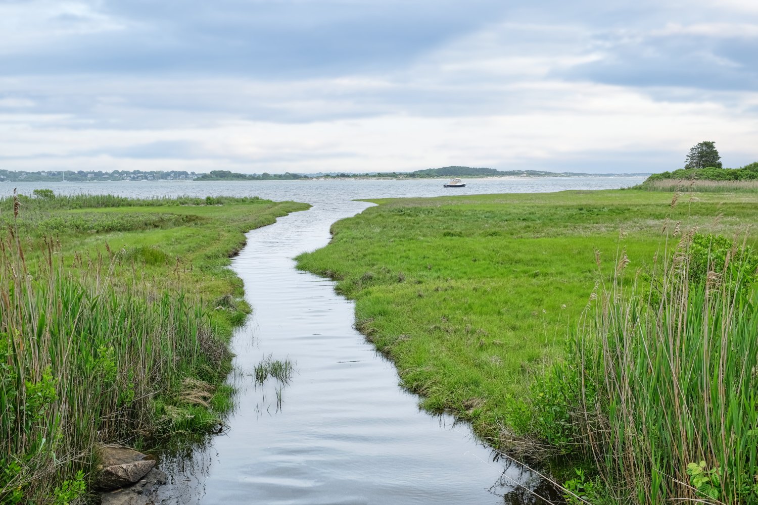 A narrow waterway winding through green marshland towards a larger body of water on a cloudy day, with a boat visible in the distance.