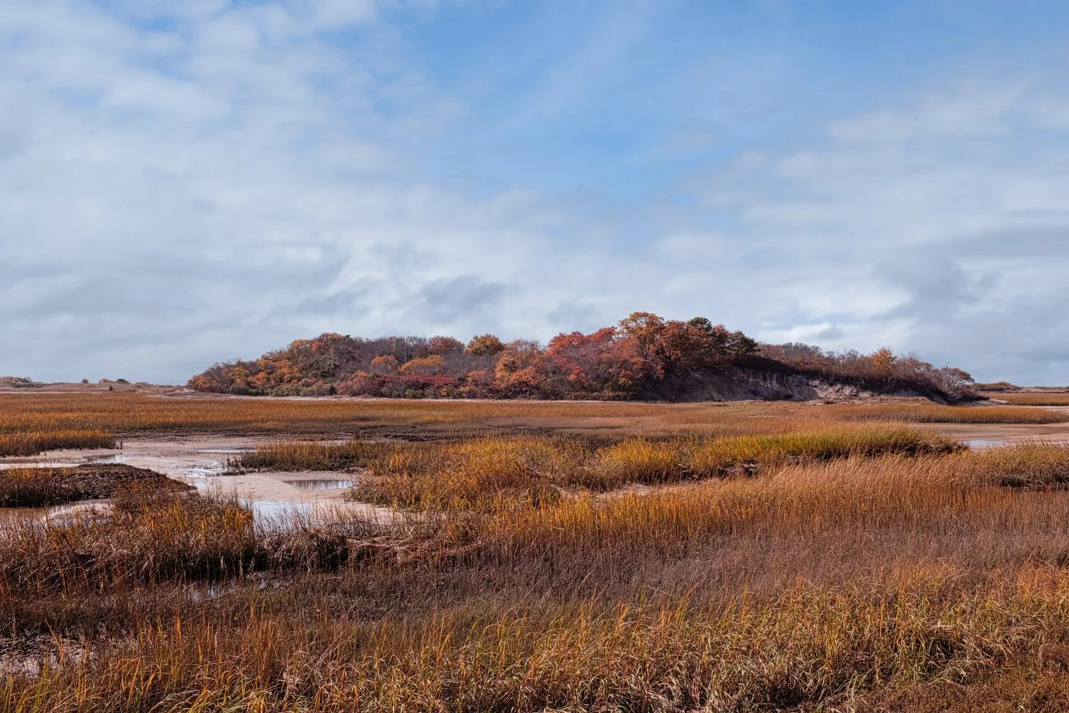 A landscape scene with a marshy area in the foreground, an island with autumn-colored trees in the middle ground, and a cloudy sky in the background.