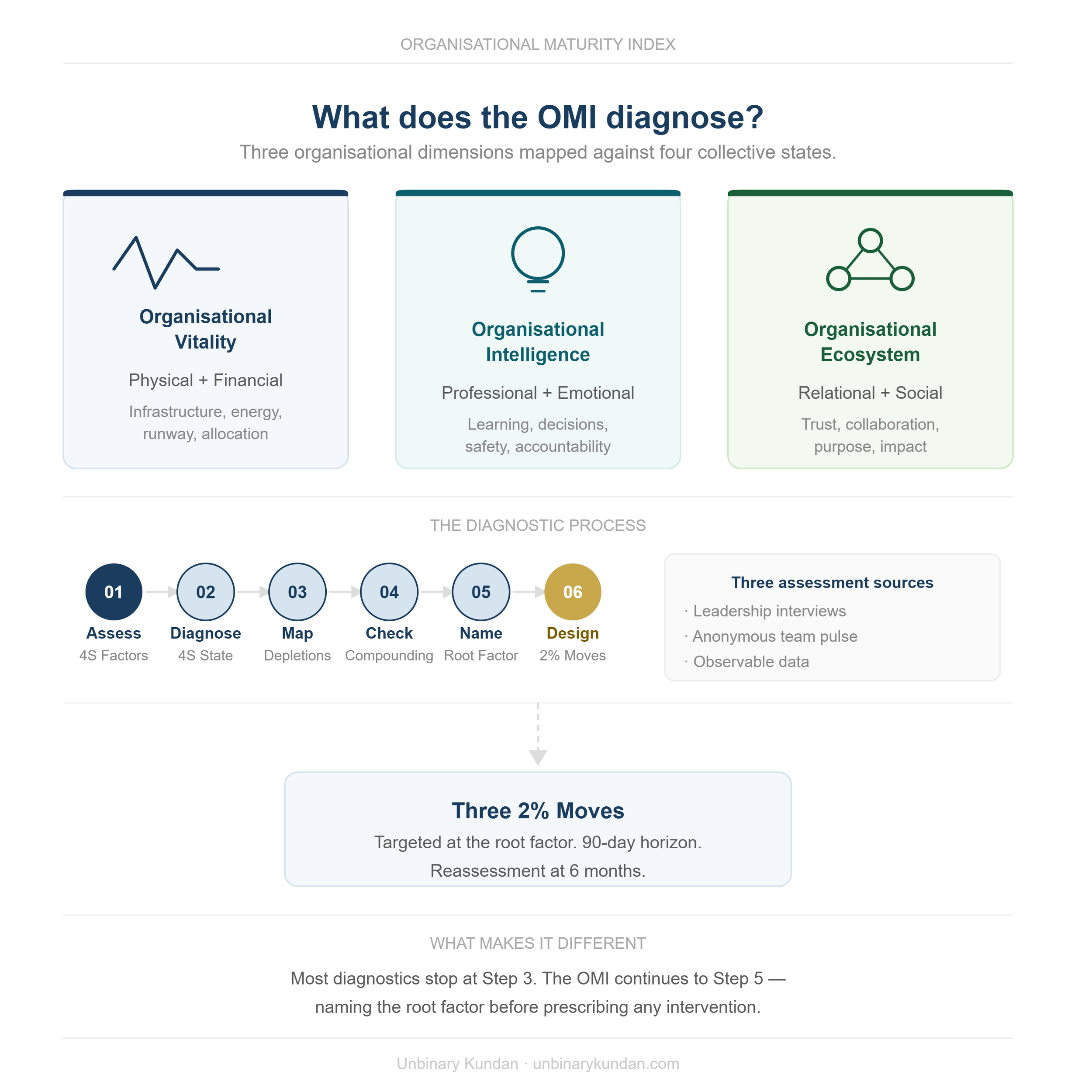 A slide titled "What does the OMI diagnose?" with three sections labeled "Organisational Vitality," "Organisational Intelligence," and "Organisational Ecosystem." Each section has a brief description, and there is a timeline with circular icons numbered from 01 to 06 representing different steps in a process. The slide includes additional text explaining the process and the diagnostic process.