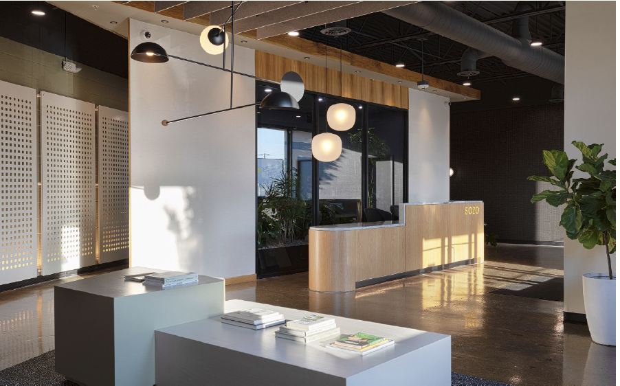 Modern reception area with a curved wooden desk, black and white pendant lights, a large plant, and a seating area with magazines on tables.