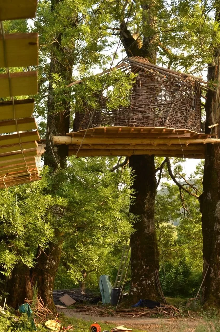 Cabanne tissé sur les arbres