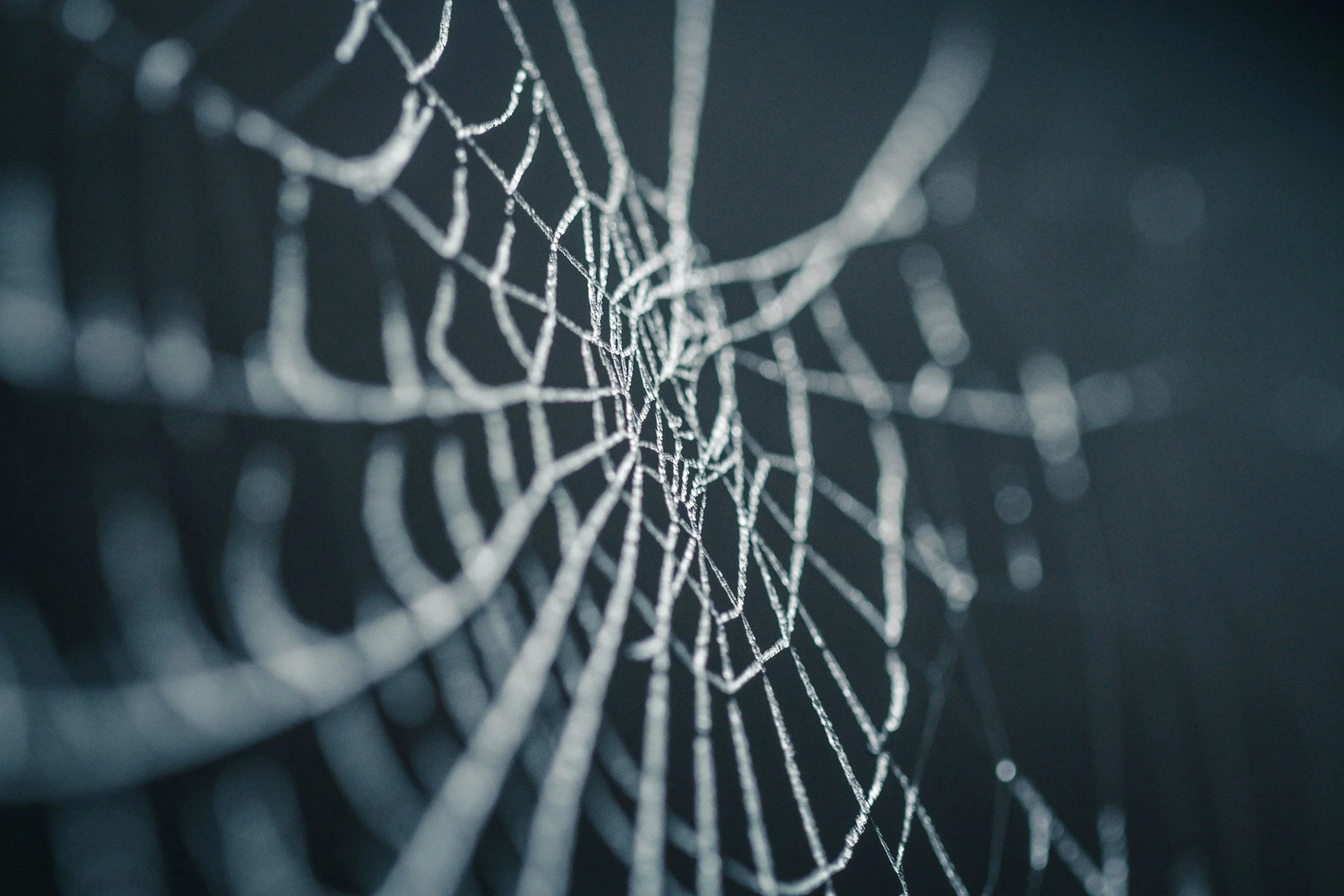 Close-up of a spider web with strands covered in dew drops against a dark background.