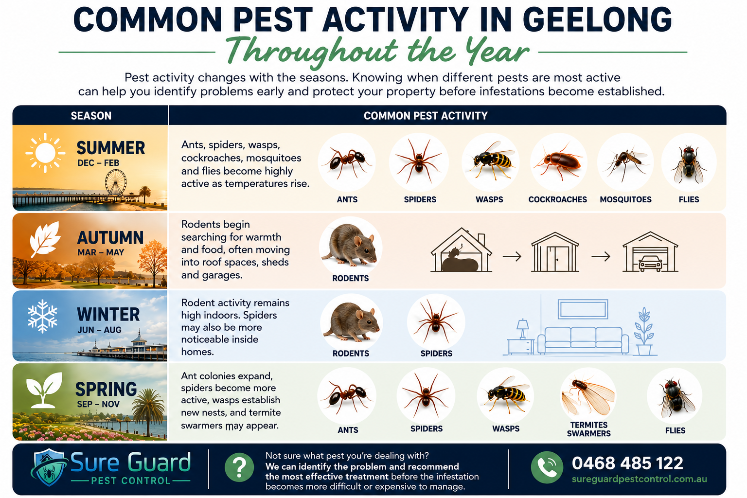 Seasonal pest activity in Geelong showing when ants, spiders, rodents, cockroaches, wasps, mosquitoes, flies and termites are most active throughout the year.
