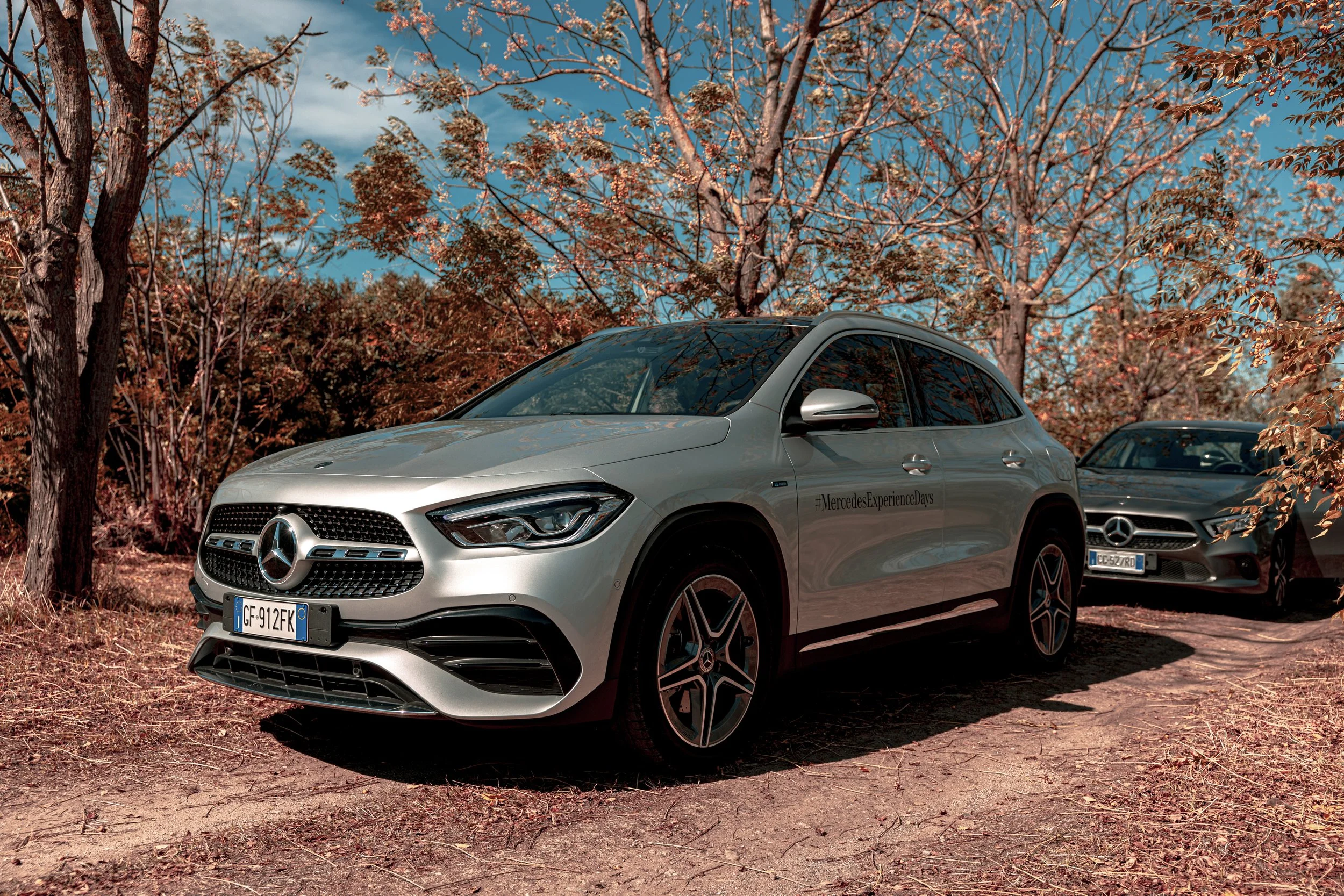 mercedes@francescolamantia3.jpg