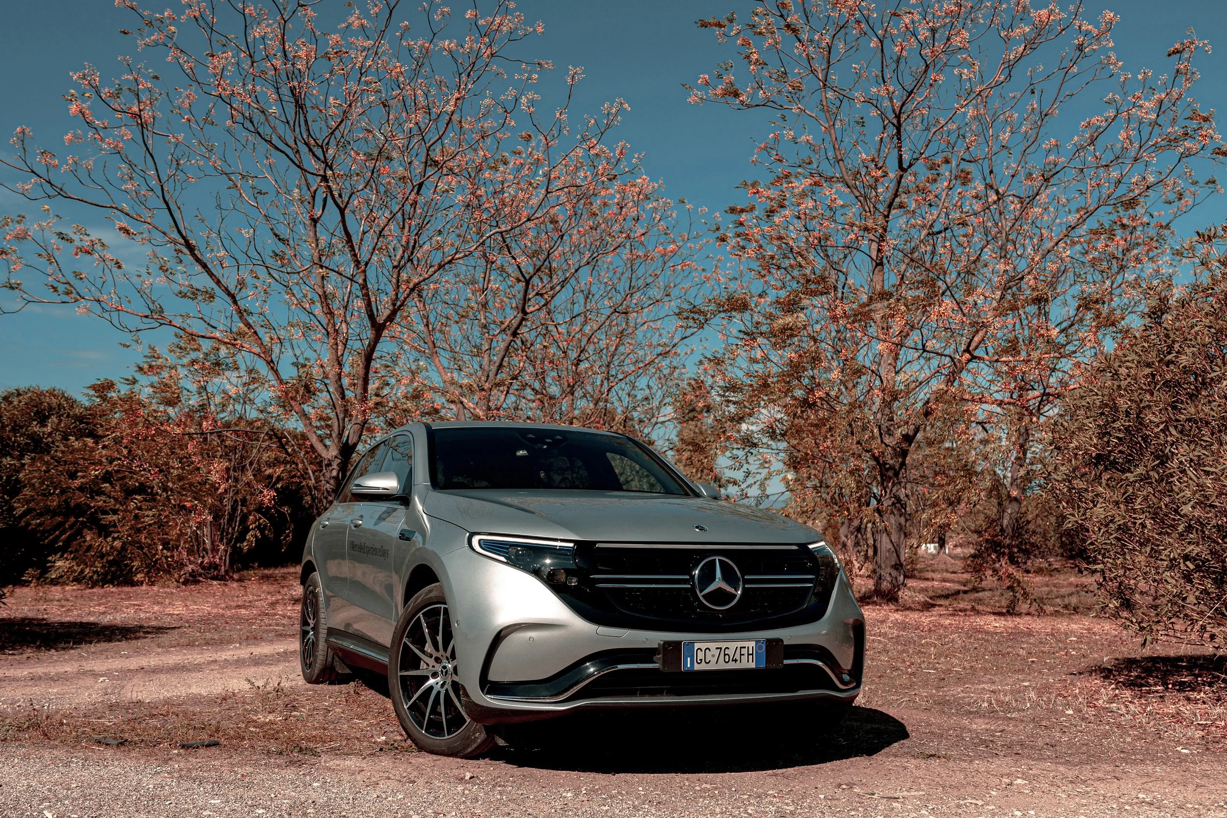 mercedes@francescolamantia4.jpg