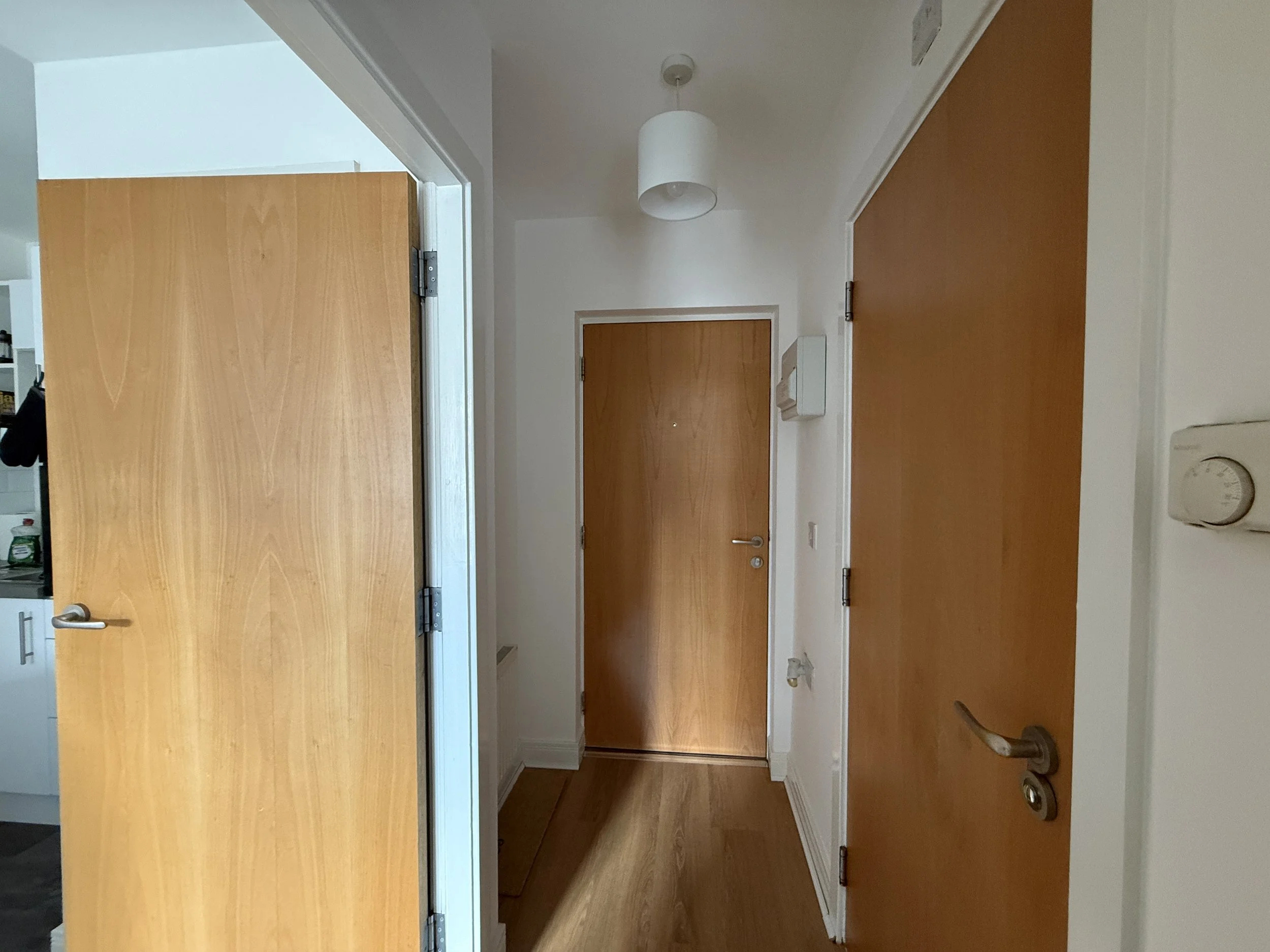 Empty entrance hall with wooden doors, white walls, ceiling light fixture, and visible electrical fixtures.