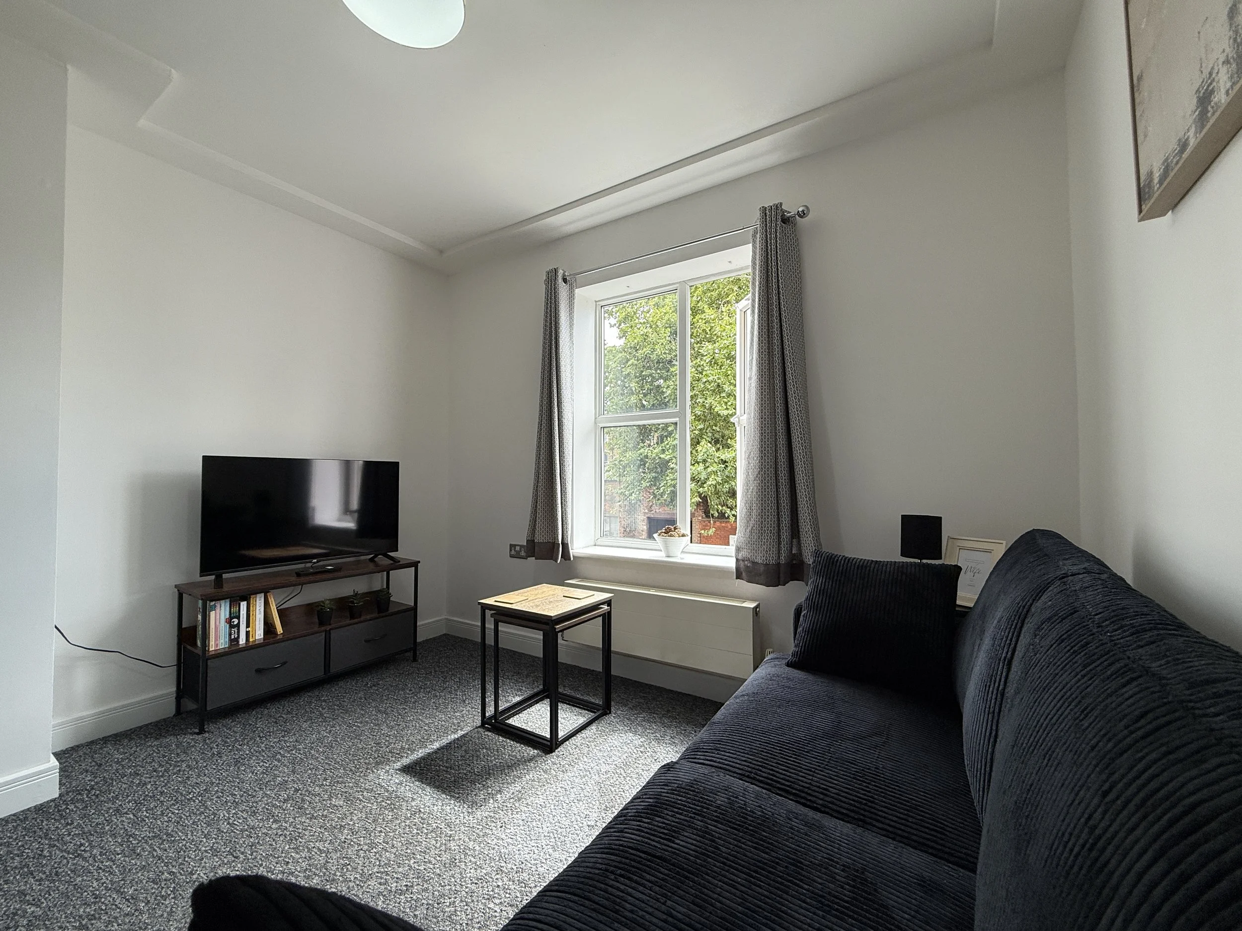 Living room with a dark grey/black sofa, a window with curtains, a small wood and metal side table, a black TV on a wooden stand, a bookshelf, a small potted plant, and a framed photo or artwork on the wall.