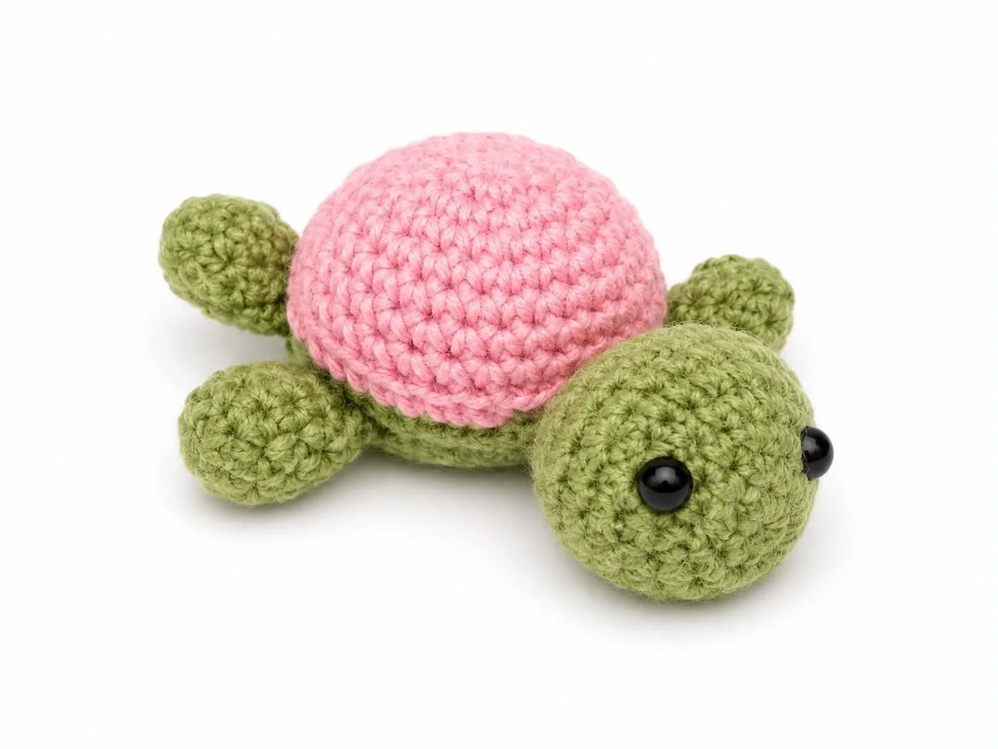 Regular Turtle