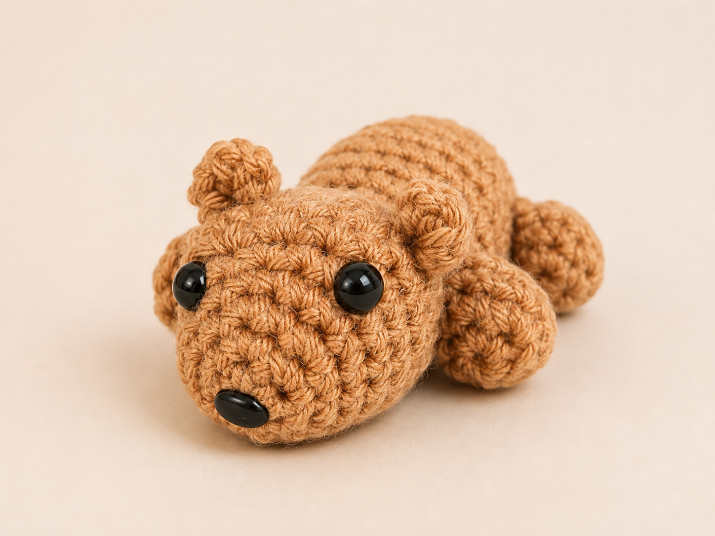 Regular Bear