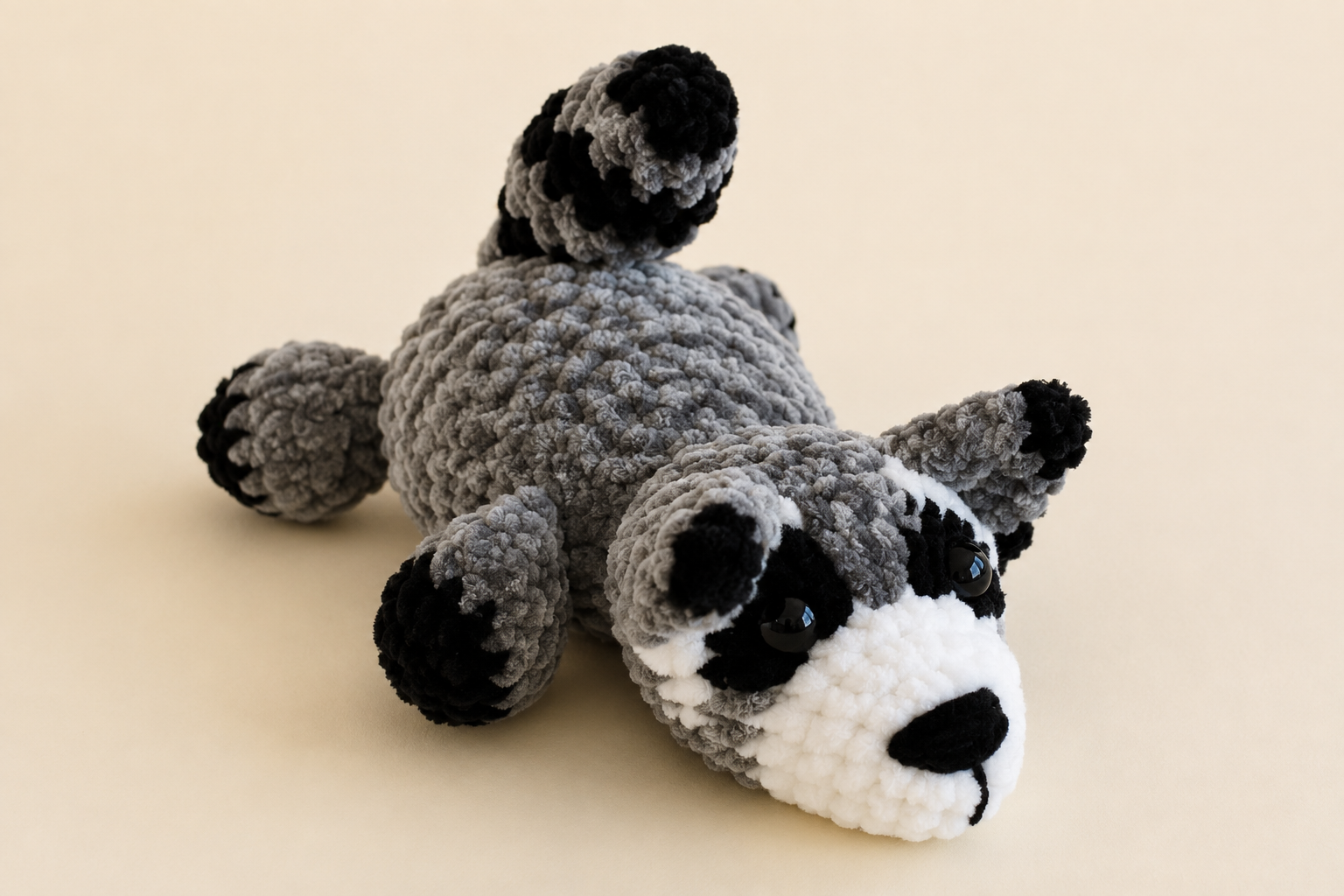 Fuzzy  Racoon