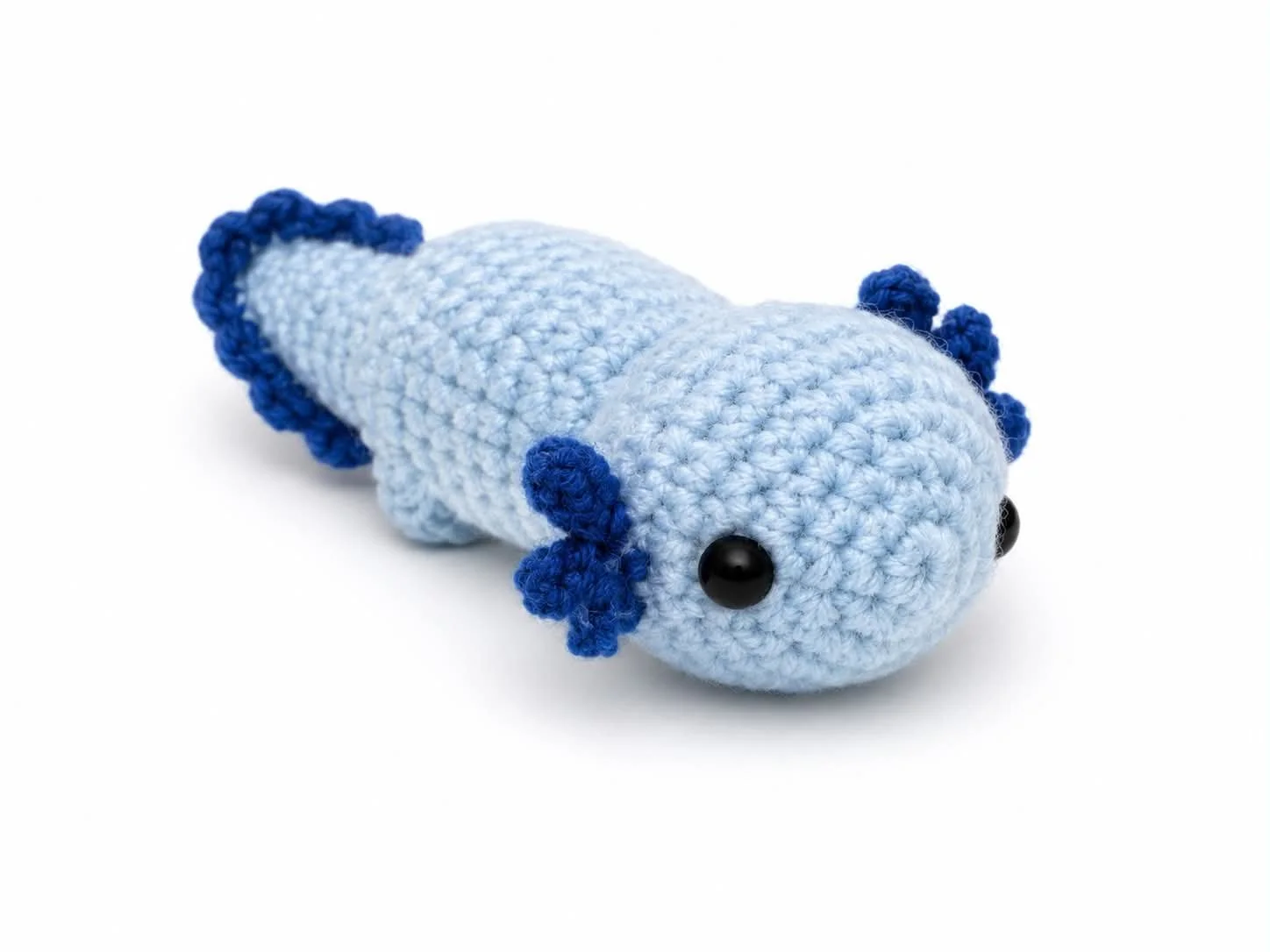 Regular Axolotl