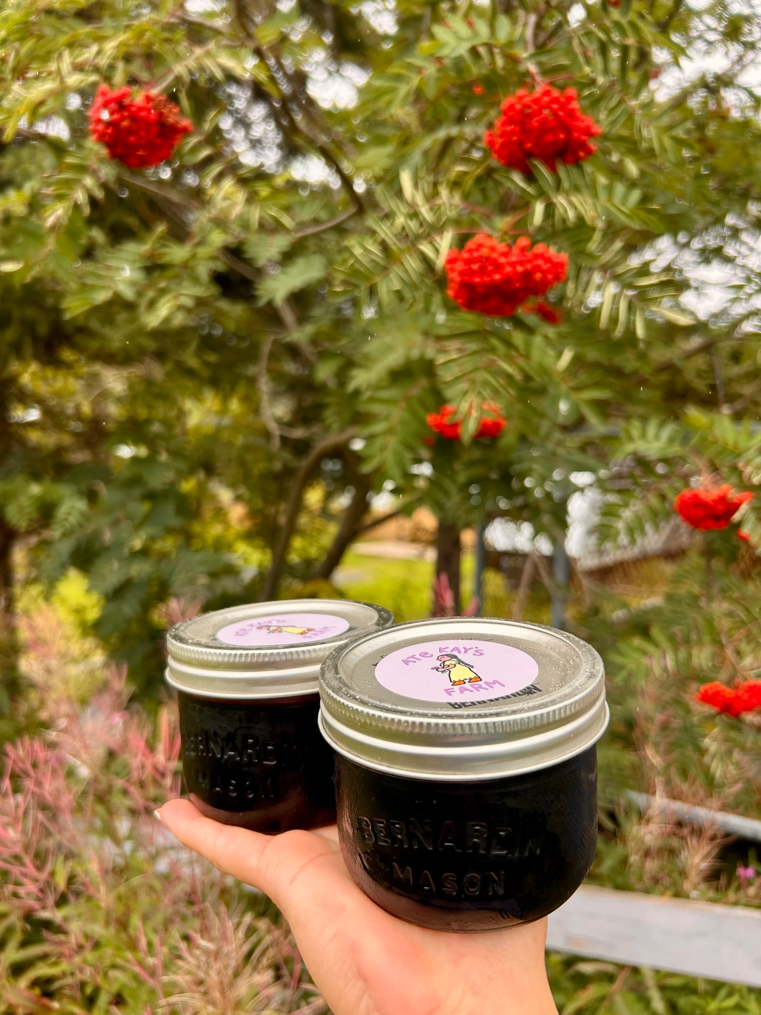 Elderberry Syrup