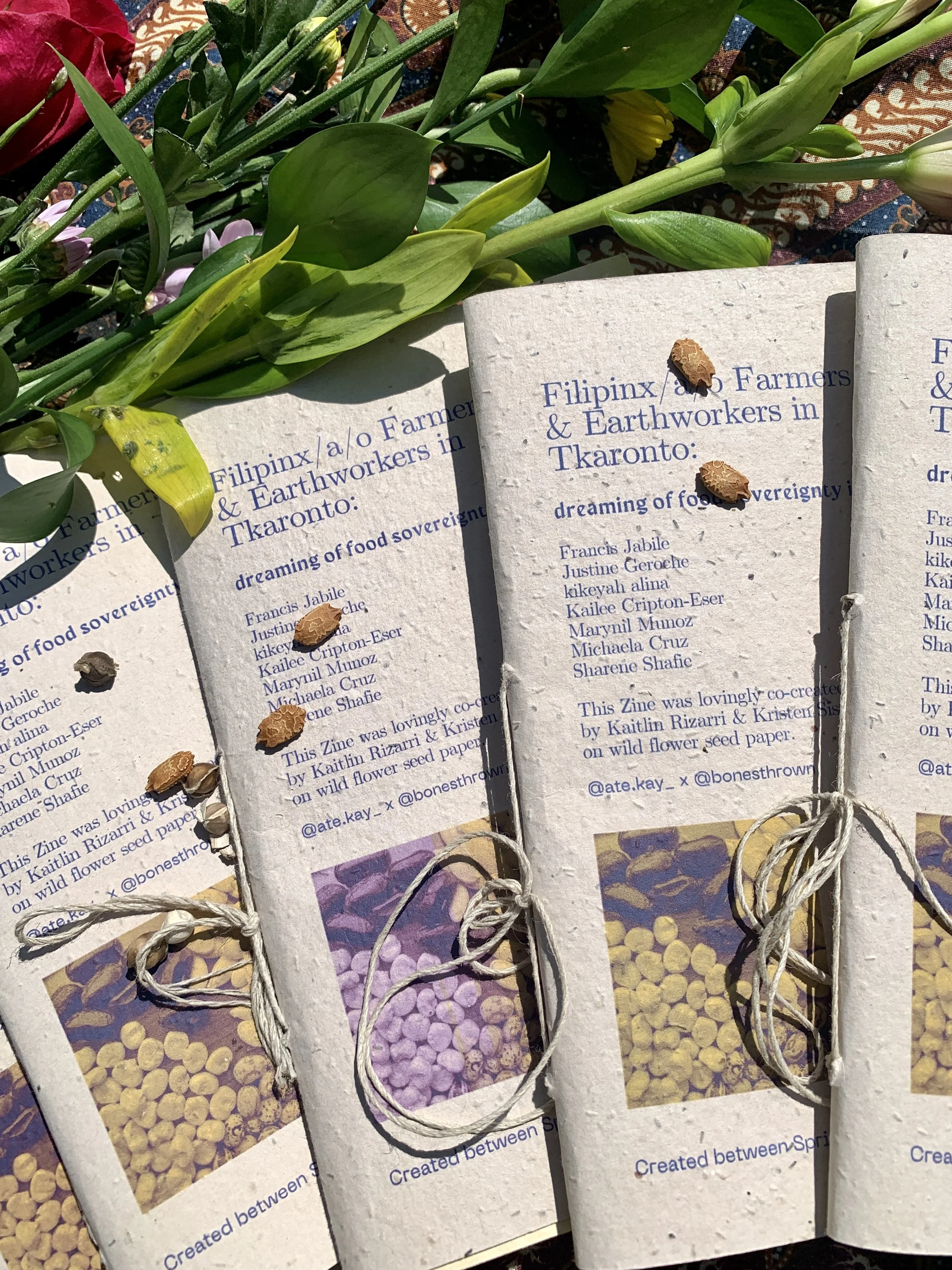 Close-up image of multiple small cards with text and colorful images of beans, flowers, or seeds, accompanied by small dried seed pods or nuts, set against a patterned background.