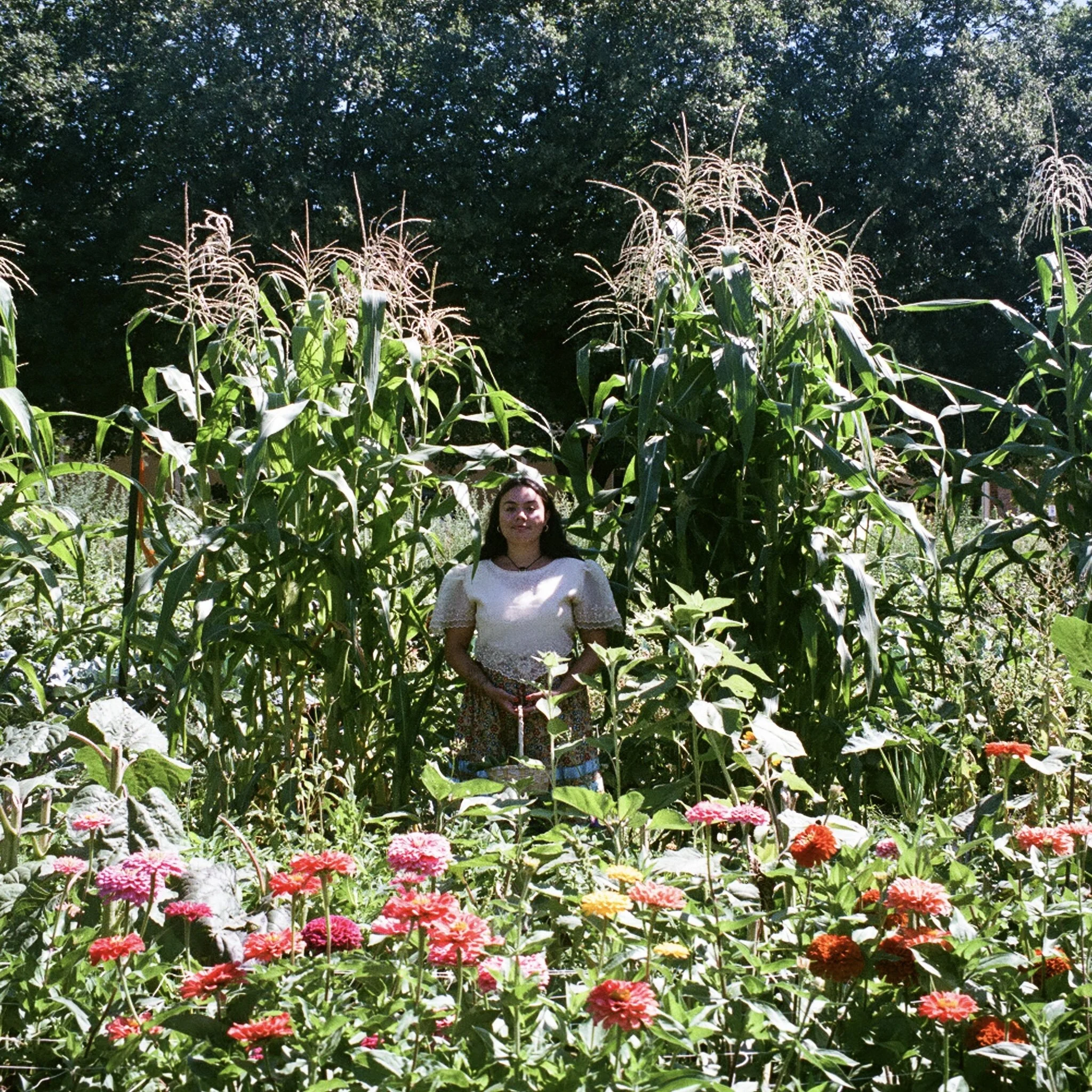 Kaitlin standing in a garden surrounded by tall corn stalks and colorful flowers, with trees in the background and sunlight filtering through the leaves.
