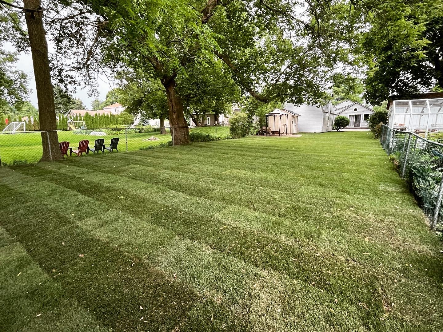 A well-maintained backyard with short, striped grass, large trees, and a fence along the sides. There are four colorful chairs on the left and a shed and house in the background on the right.