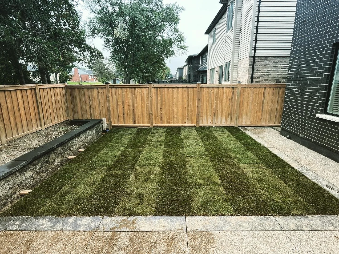 A backyard with a freshly planted grass lawn, bordered by a concrete walkway and a wooden fence.