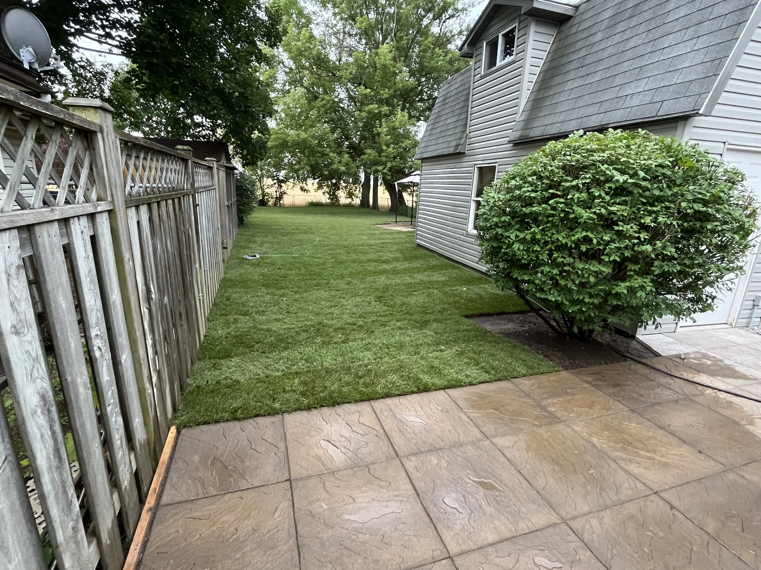 A backyard with a lawn, a wooden fence on the left, an unpainted wooden board on the ground, a patio with patterned tiles, a tree in the background, a house with gray siding and a window on the right, and a bush in front of the house on the right.