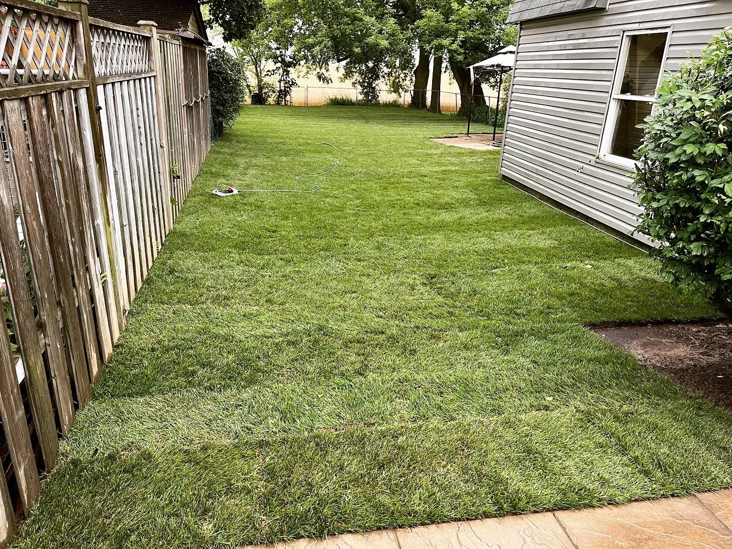 A backyard with freshly mowed green grass, a wooden fence on the left, a house with gray siding on the right, and a garden bush near the house. There is a hose and a sprinkler on the grass, and trees in the background.