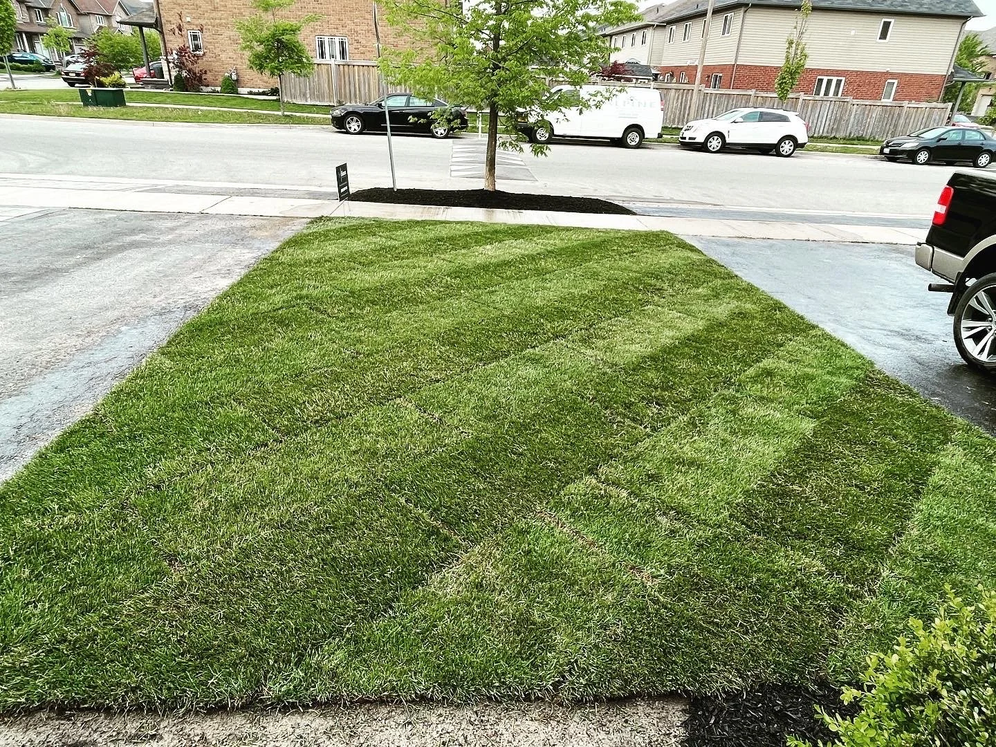 Freshly cut green grass with visible mowing lines, a small tree in the center, and a parking lot with vehicles in the background.