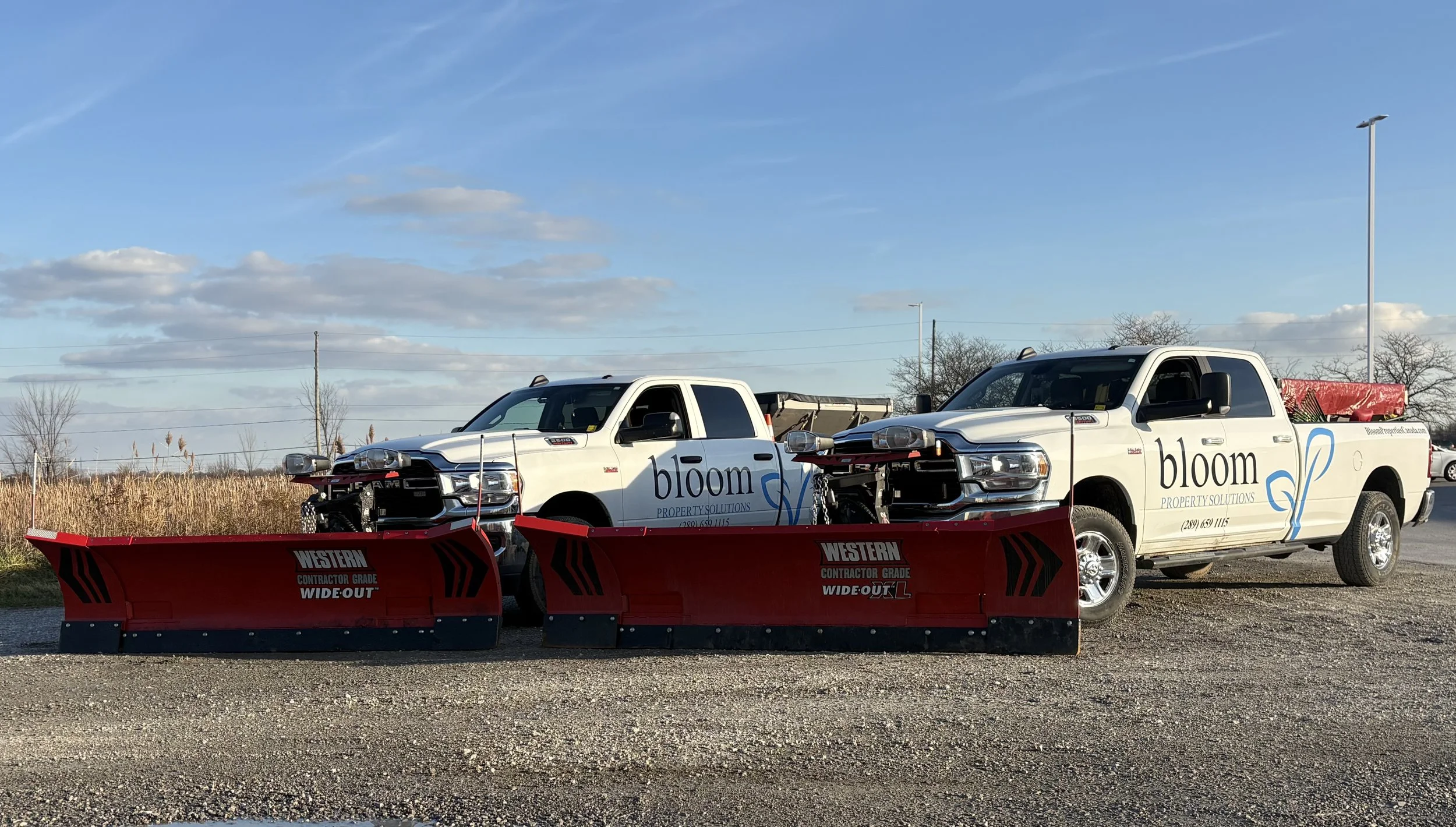 Two white pickup trucks with 'bloom' printed on the side are parked side by side, each attached to a red snow plow blade labeled 'Western Contractor Grade Wide Out,' in an open outdoor area with a clear sky and some trees in the background.
