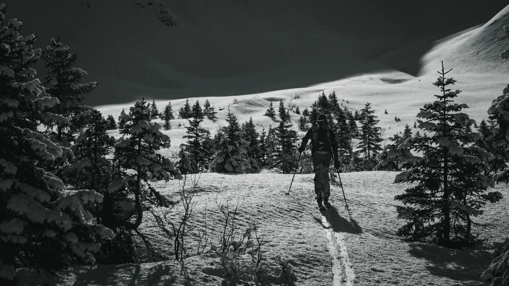 Eine Person wandert in einer verschneiten Berglandschaft mit Kiefern im Winter bei Nacht