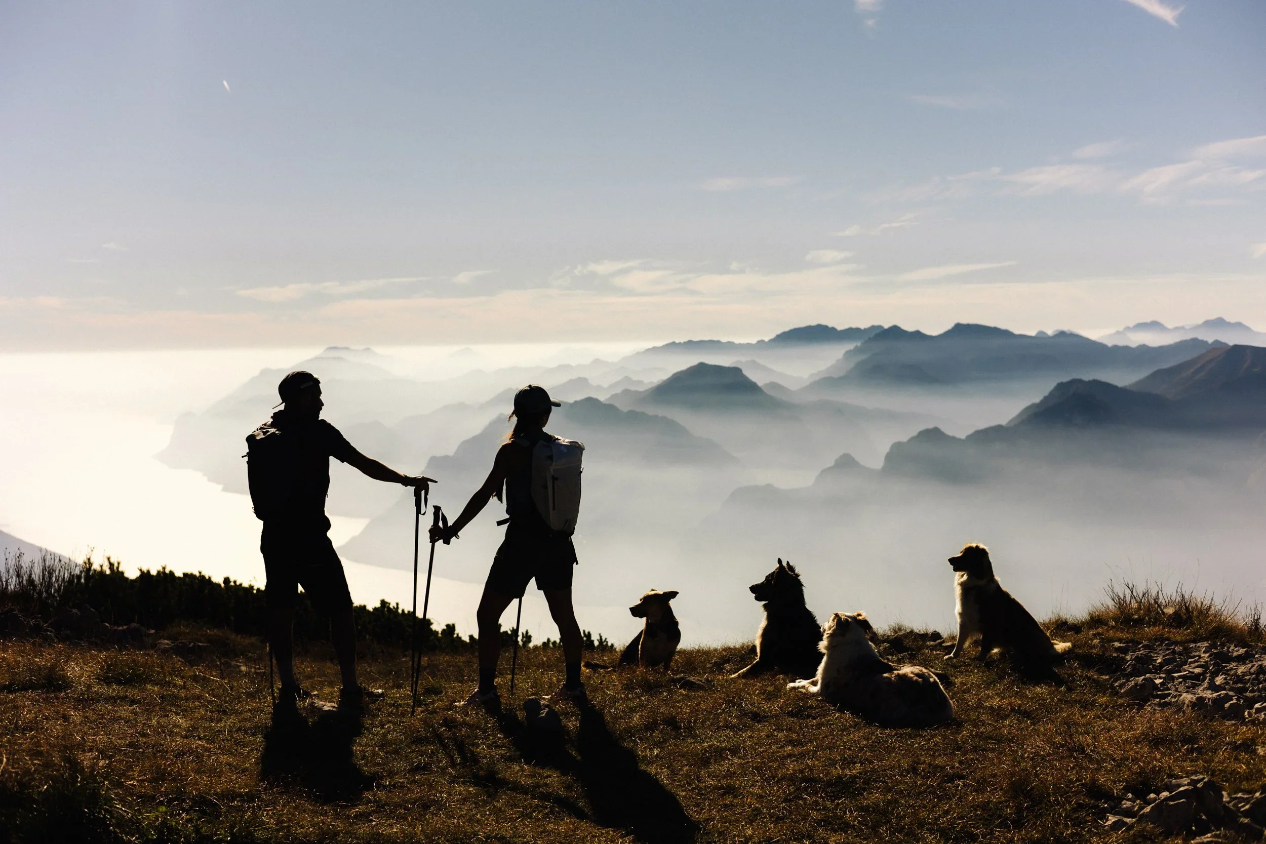 Two hikers with backpacks and hats walking with five dogs in the Italian alps at sunrise, with layers of mountains and clouds in the background.