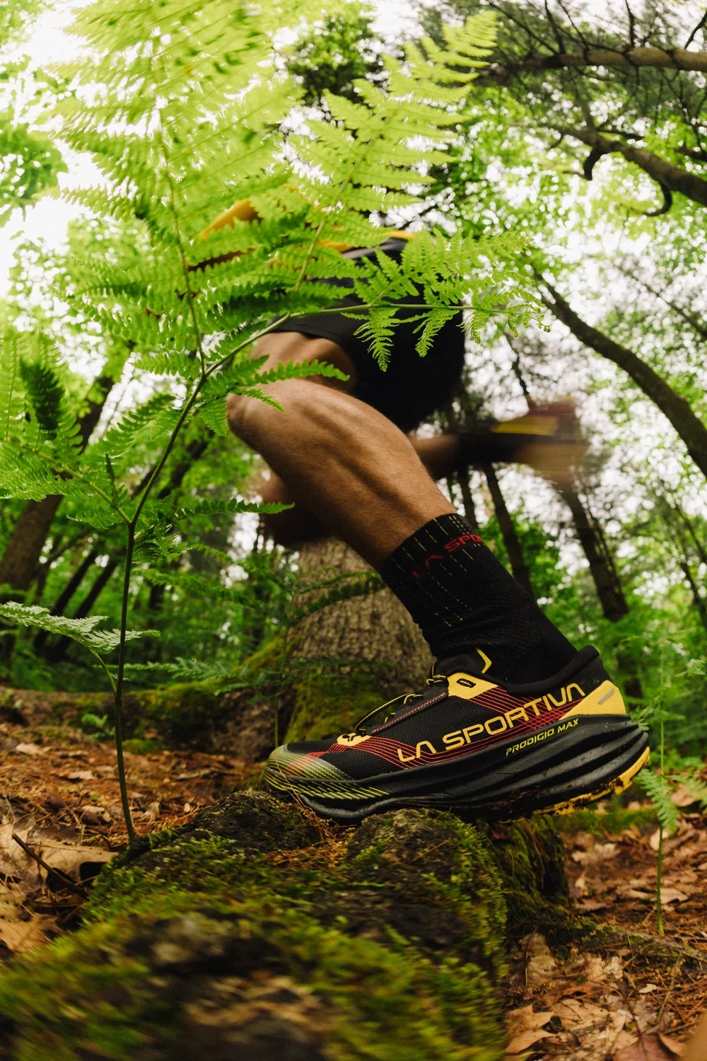 LaSportivaProdigioMaxLR-10.jpg.webp